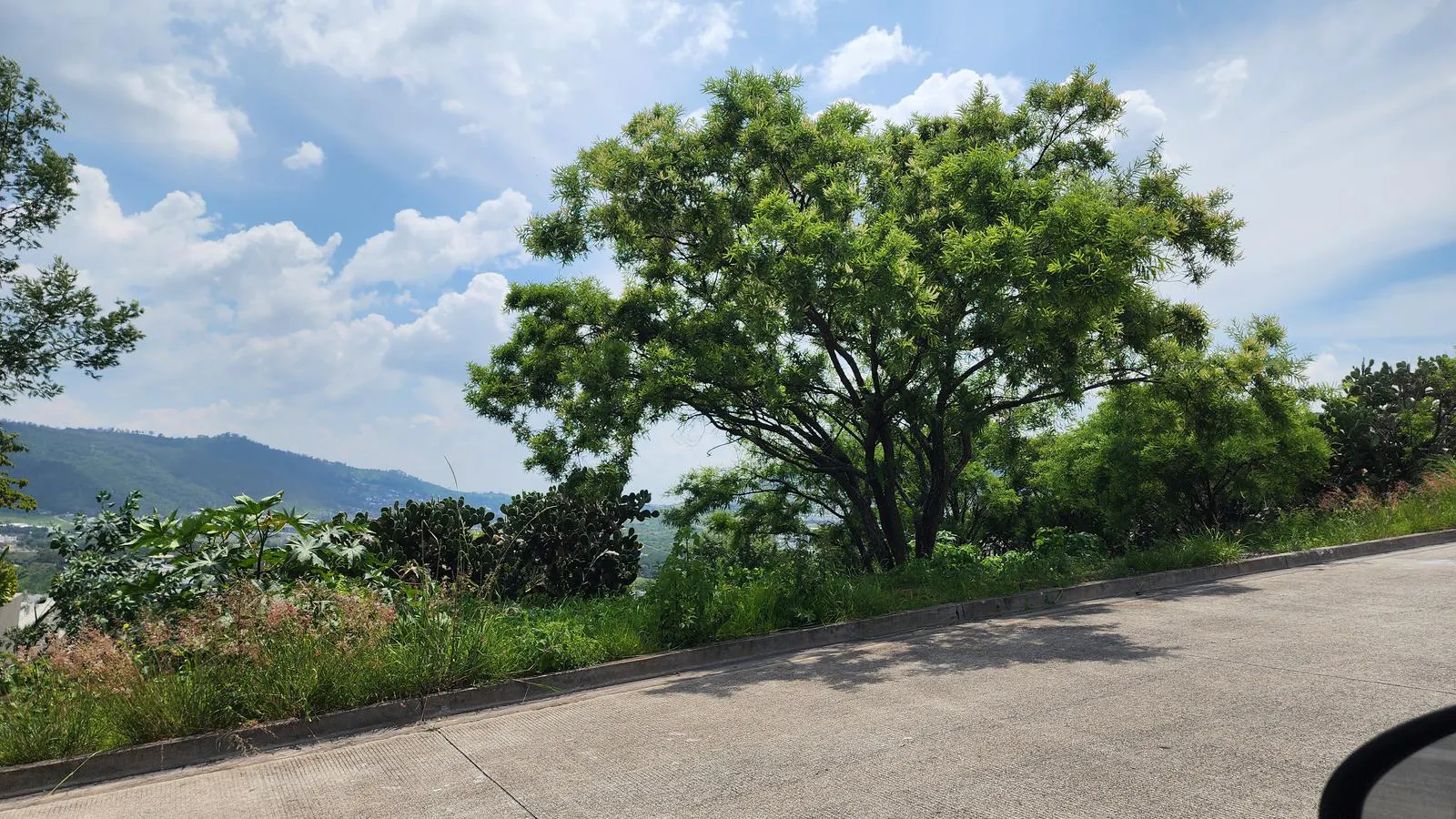 Terreno Spot2
