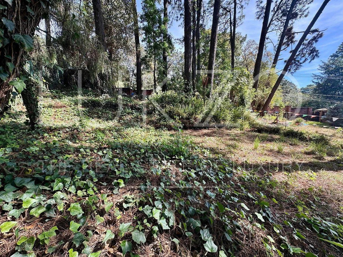 Terreno Spot2