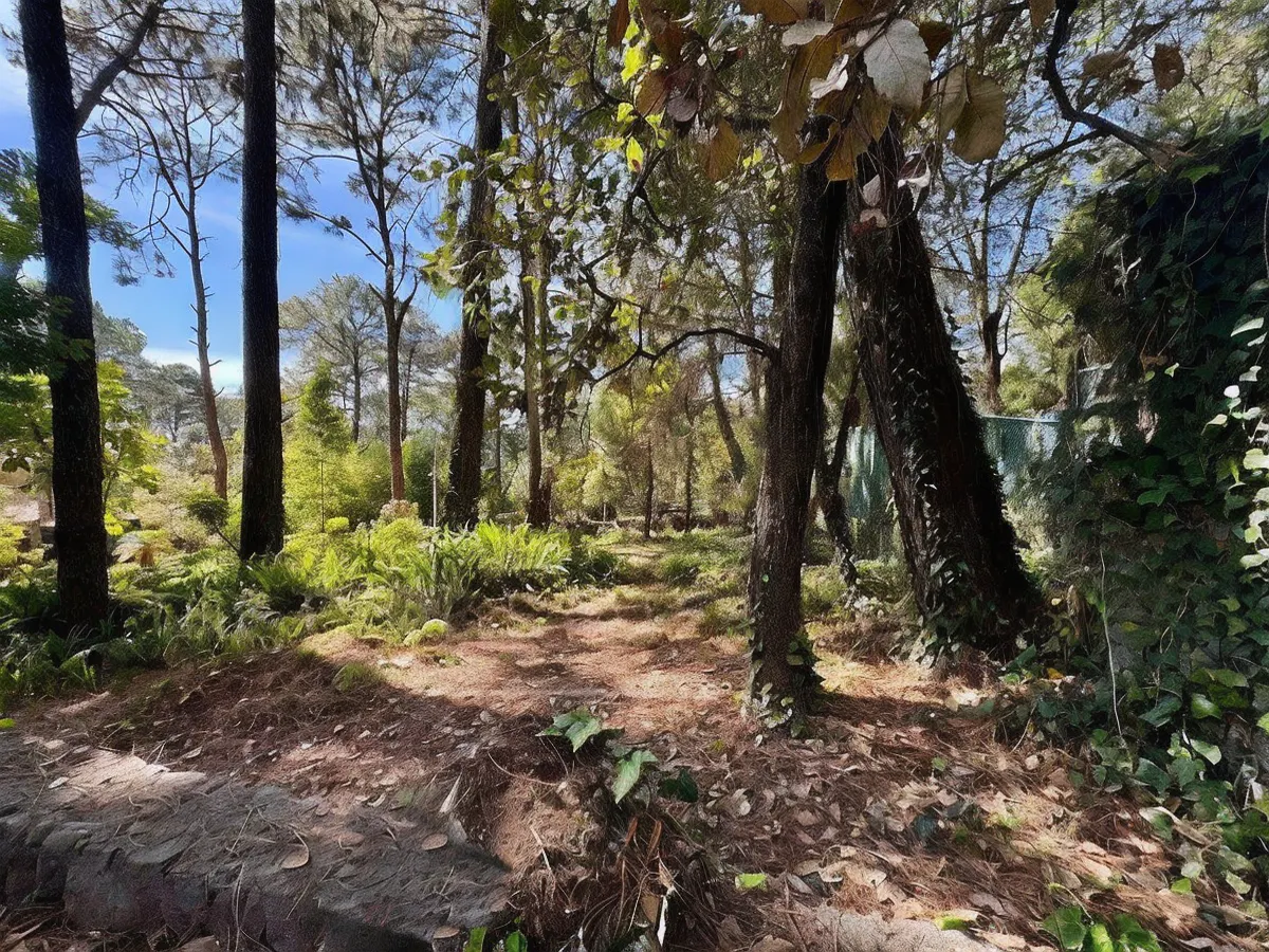 Terreno Spot2