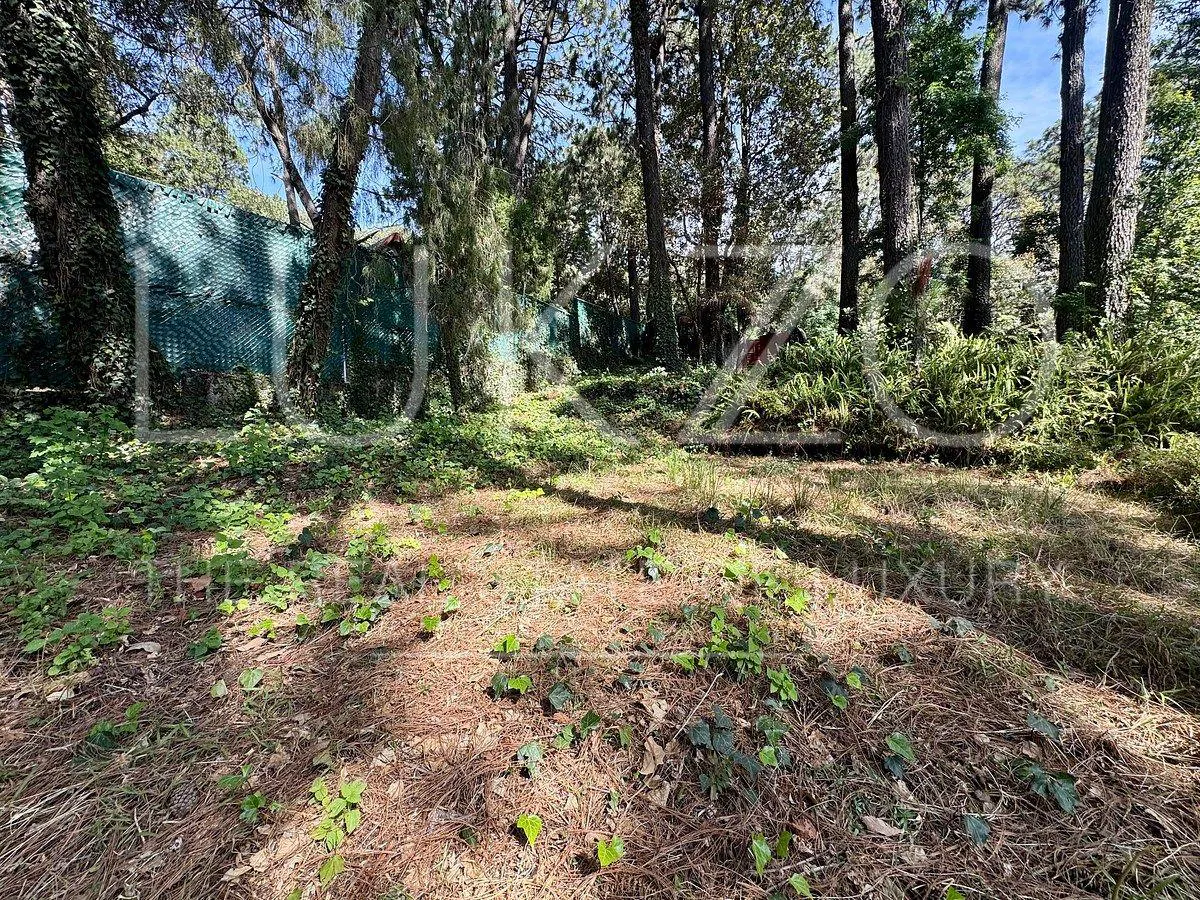 Terreno Spot2