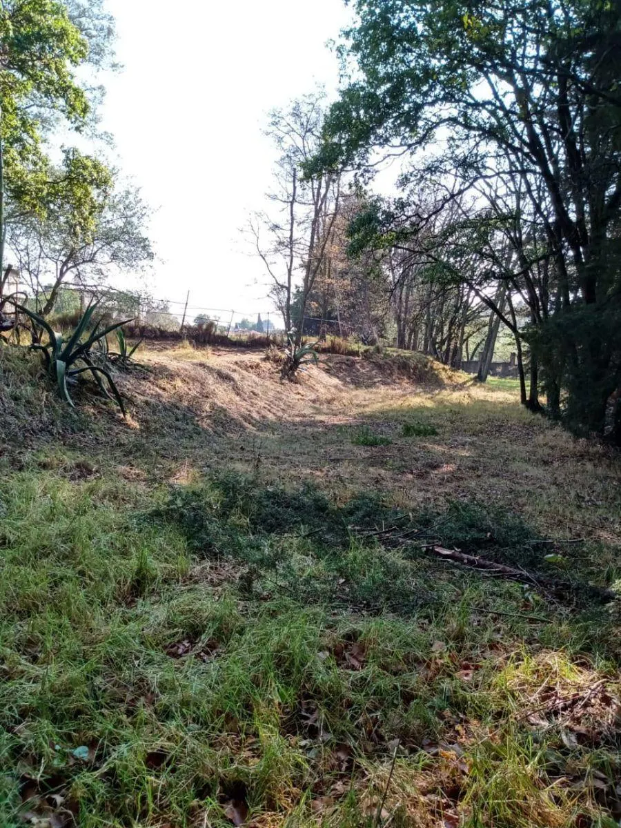 Terreno Spot2
