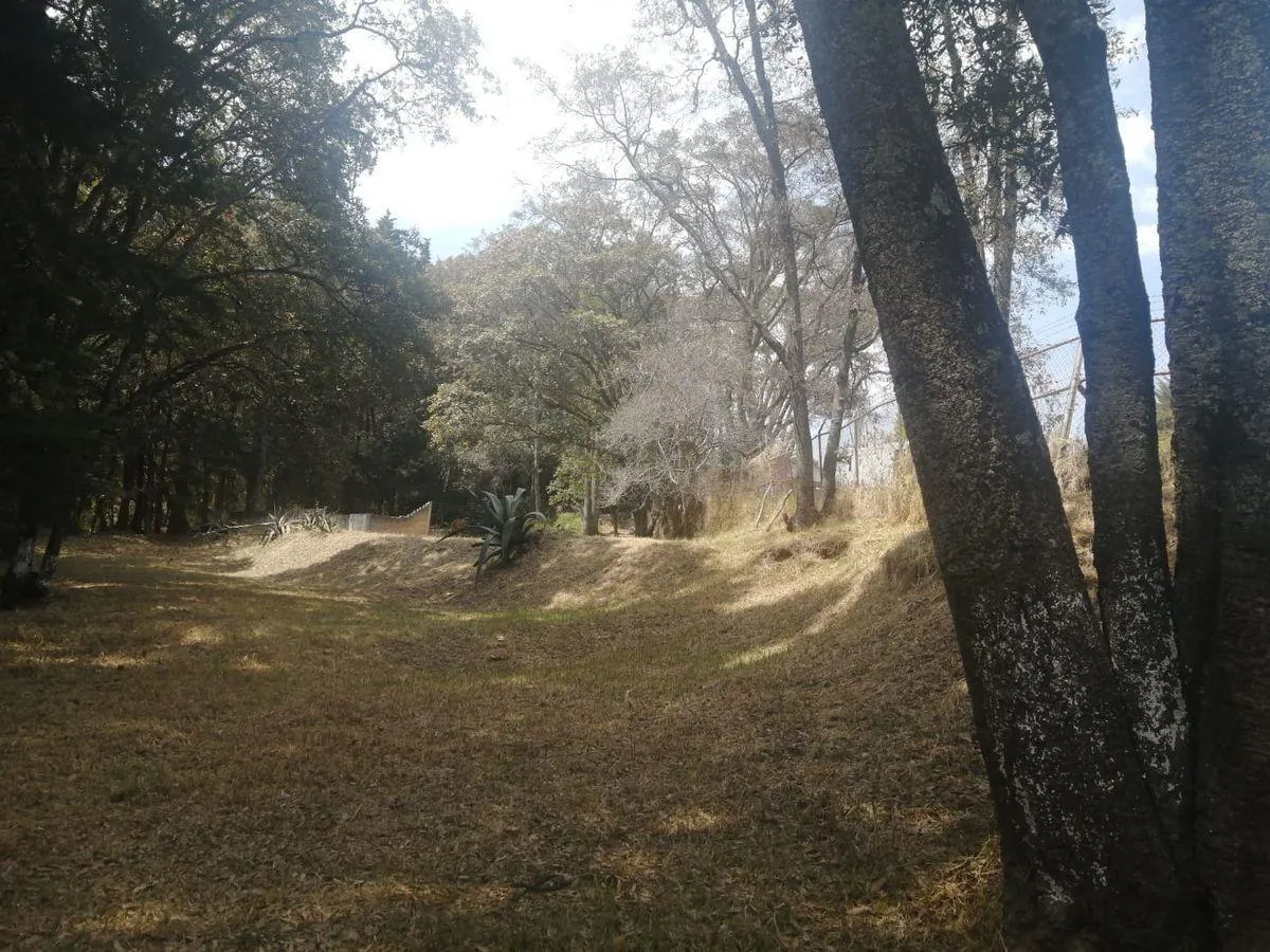 Terreno Spot2