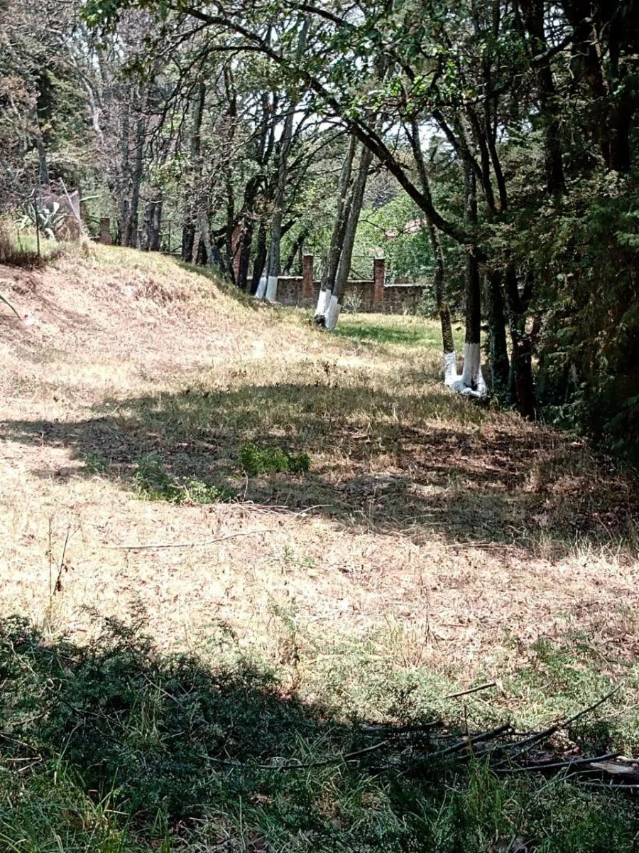 Terreno Spot2