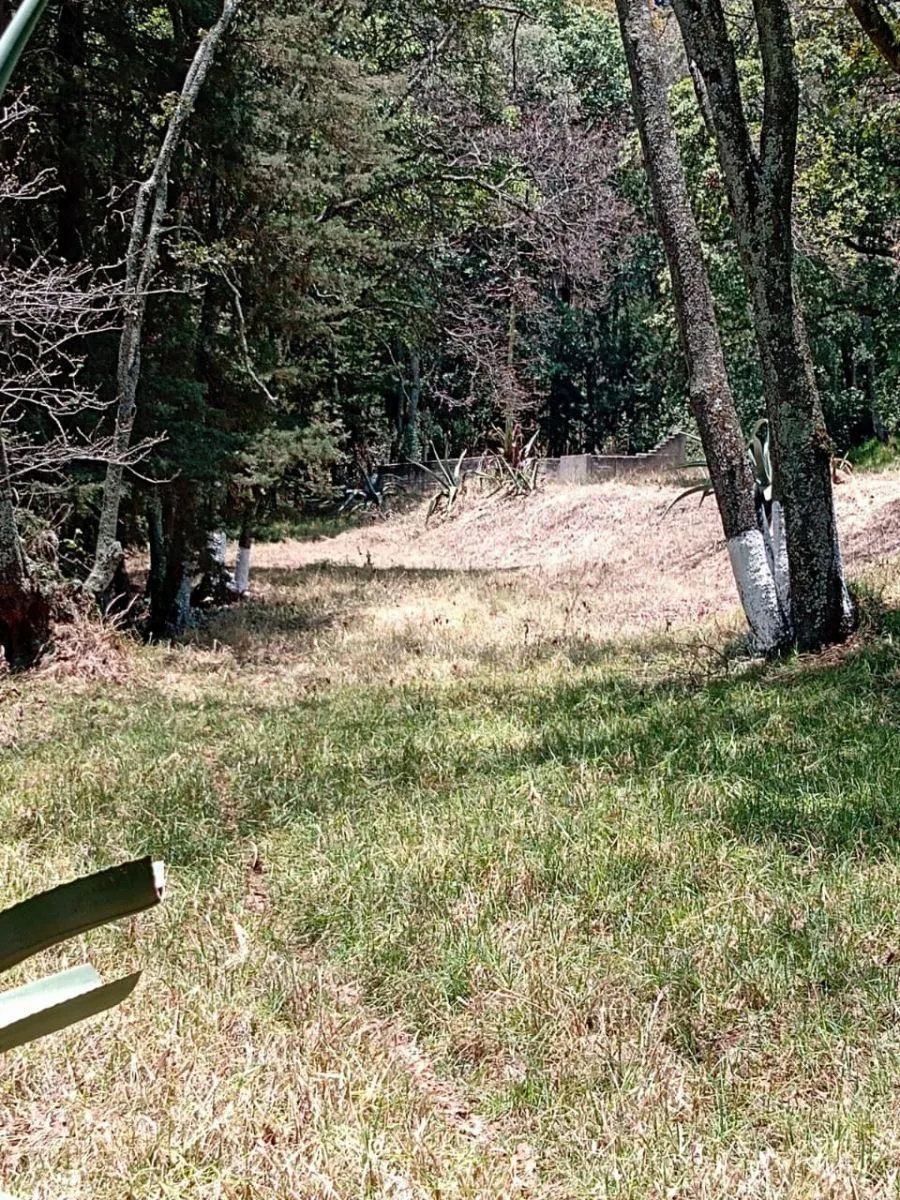 Terreno Spot2