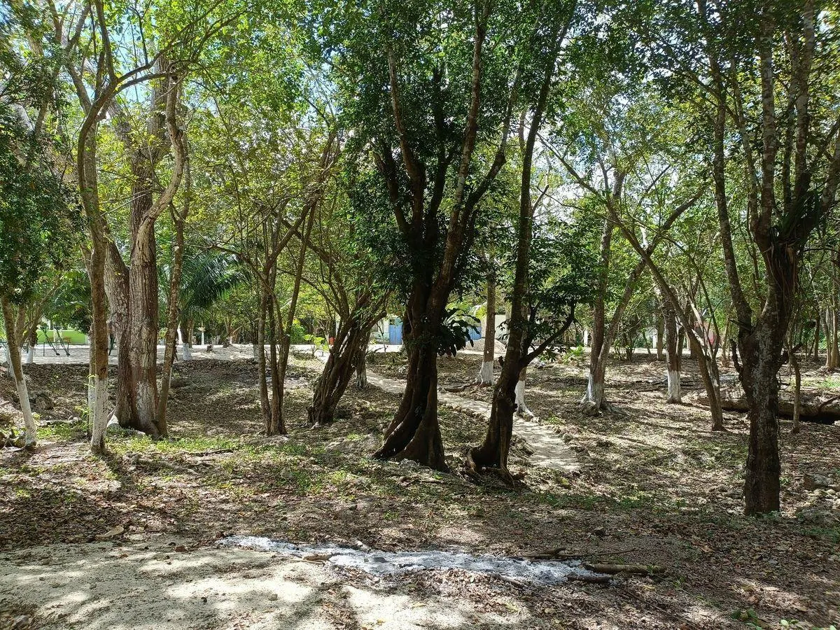 Terreno Spot2