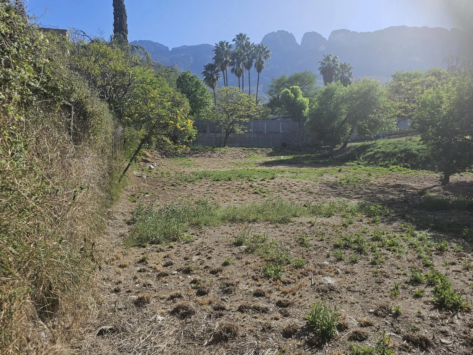 Terreno Spot2