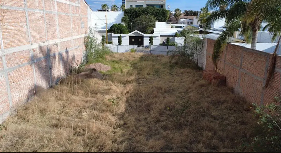 Terreno Spot2