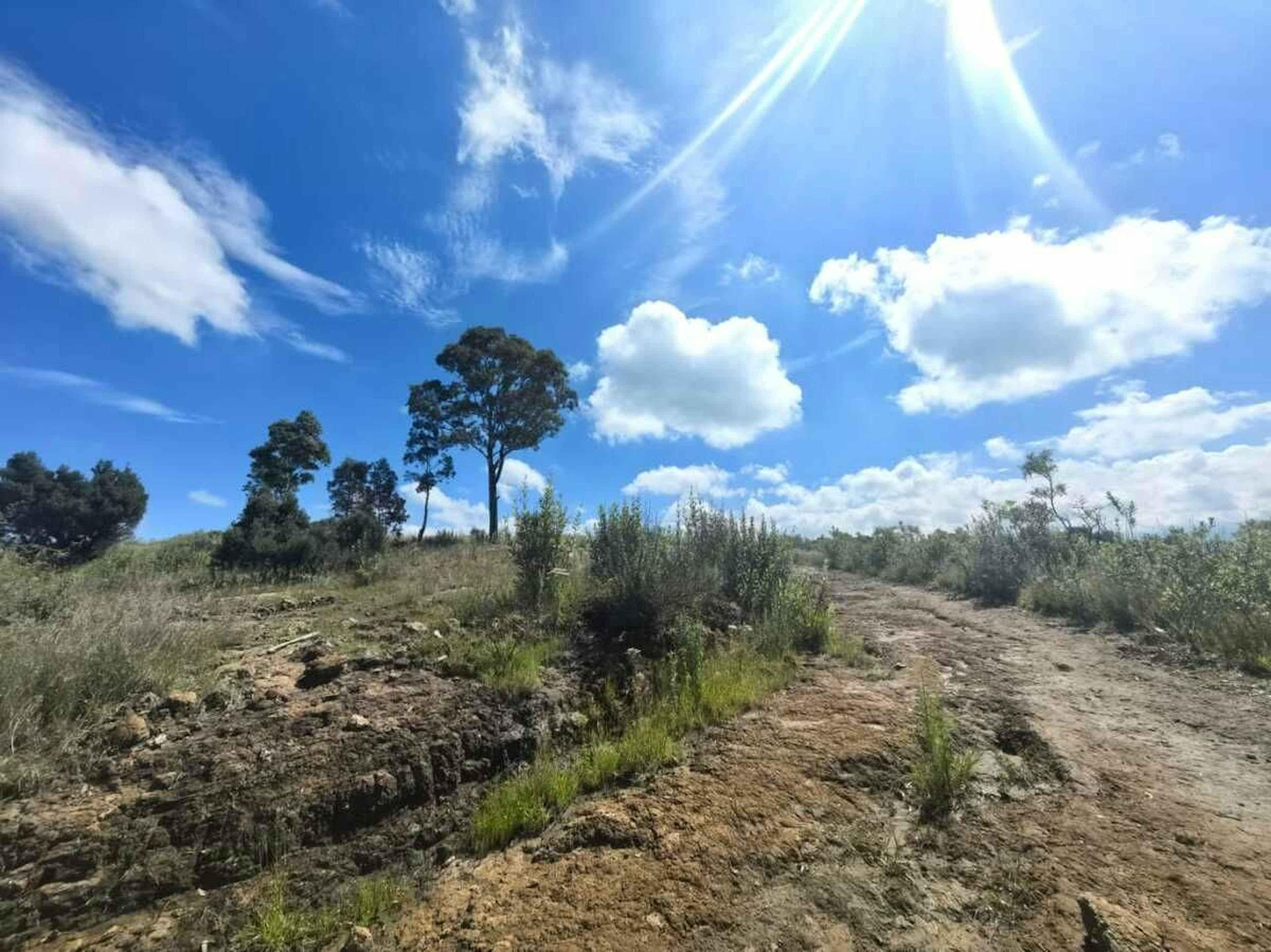 Terreno En Venta En Tlaxcala