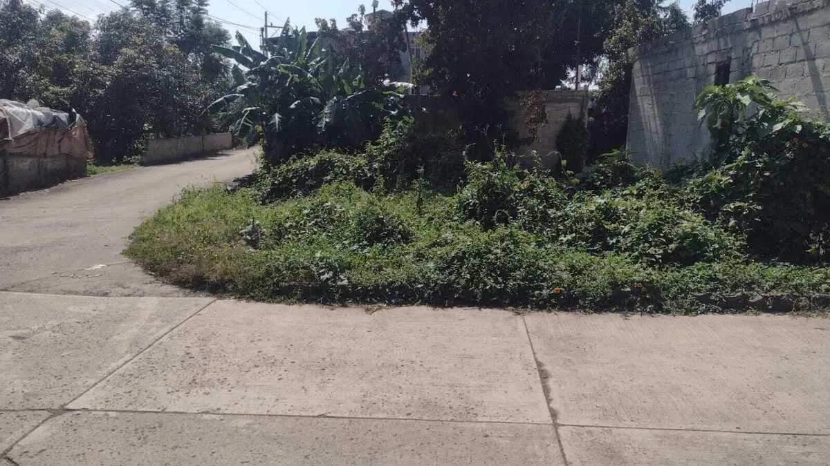 Terreno Spot2
