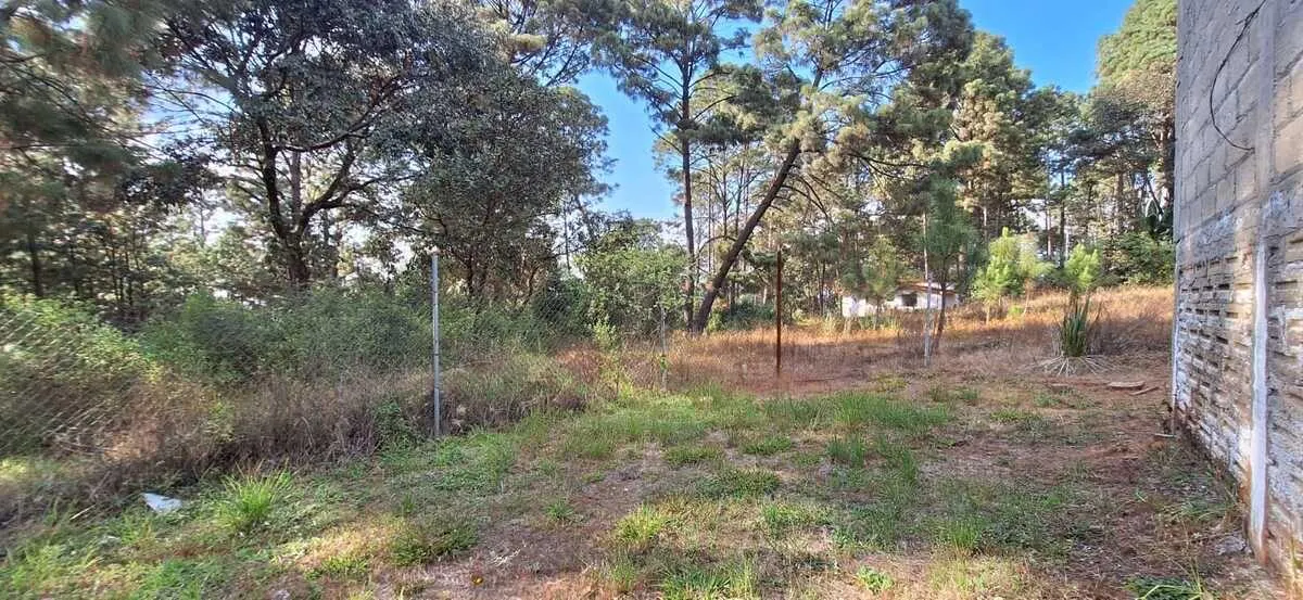 Terreno Spot2