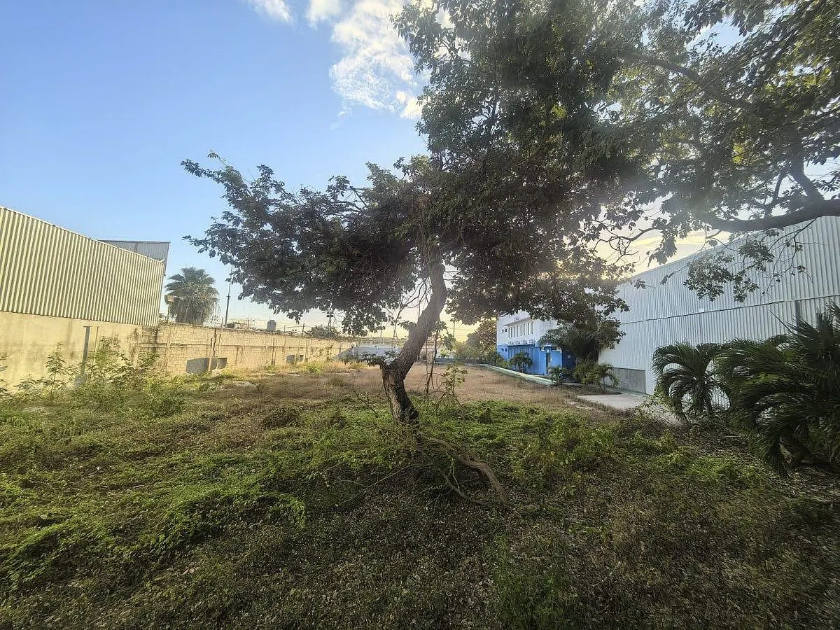 Terreno Spot2