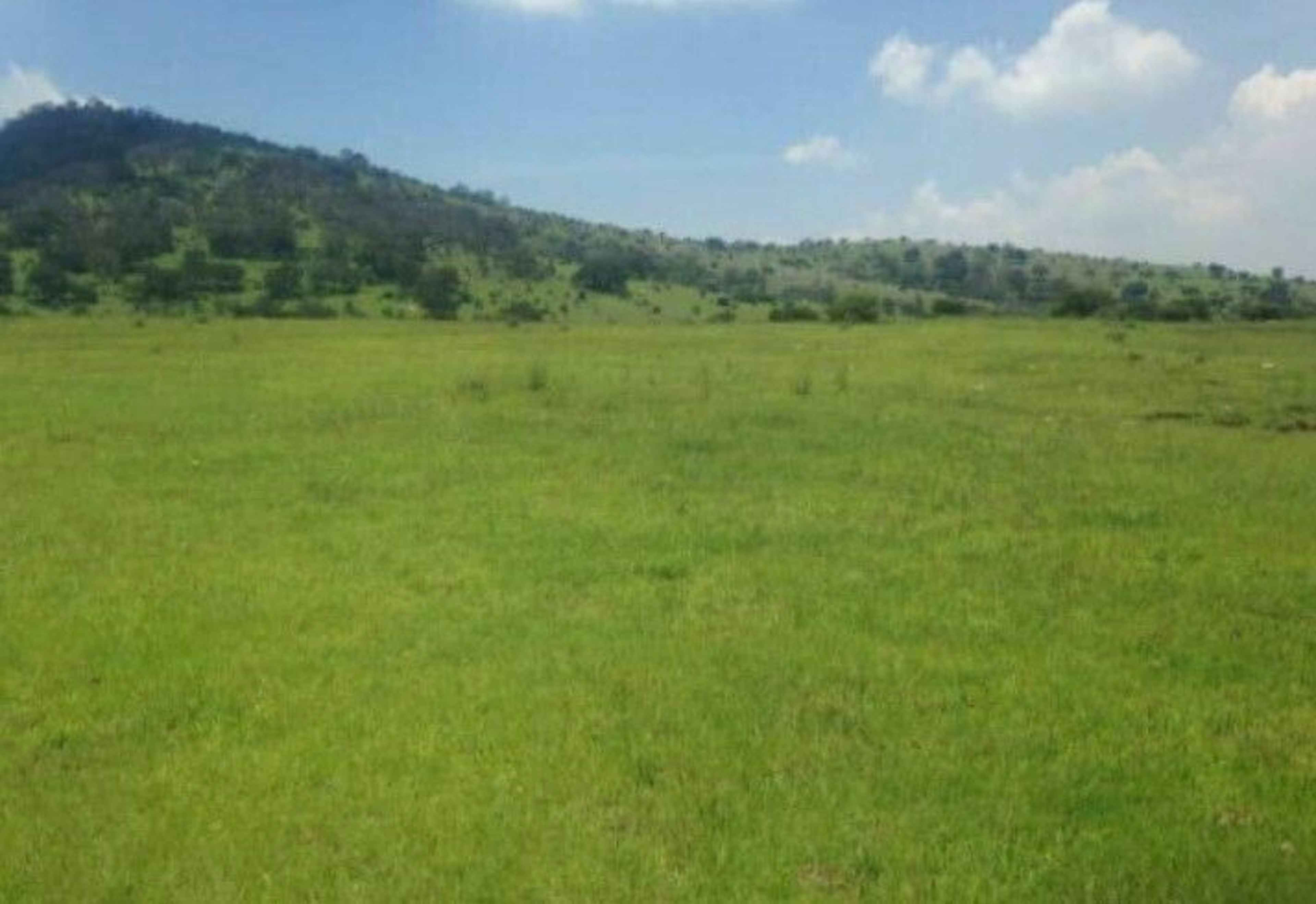 Terreno En Venta San Luis Taxhimay Villa Del Carbon