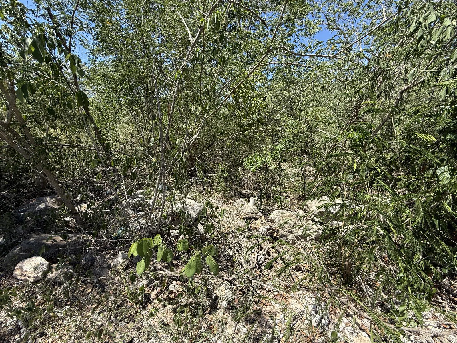 Terreno Spot2