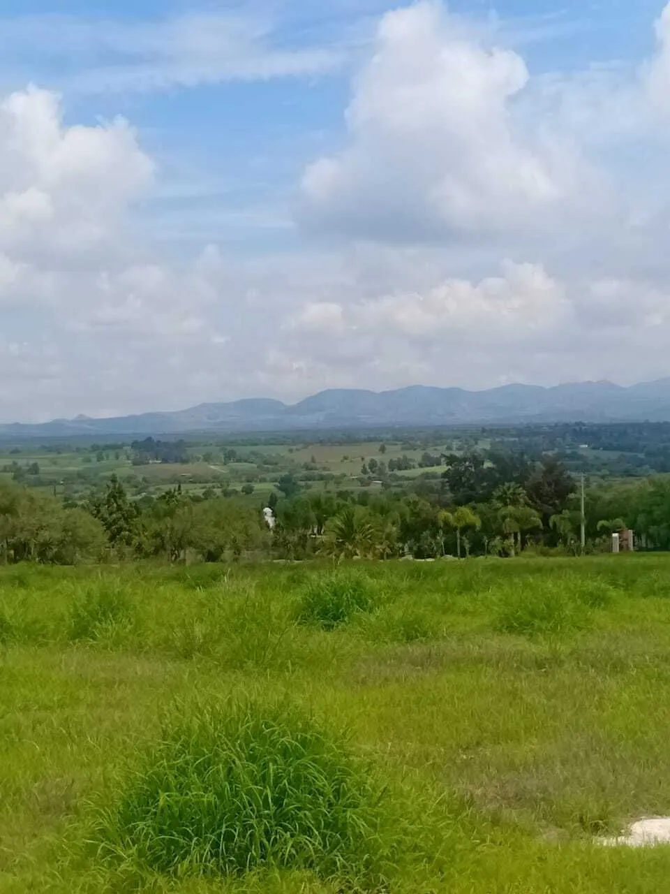 Terreno Spot2