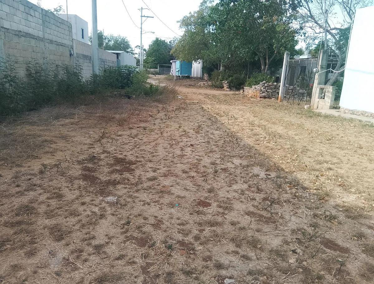 Terreno Spot2