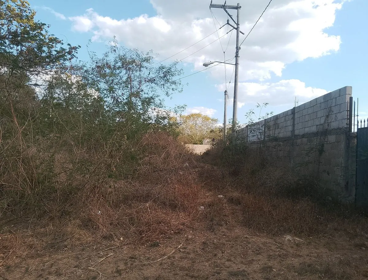 Terreno Spot2