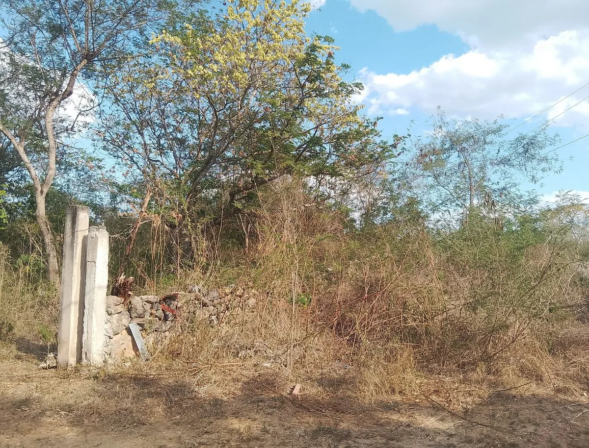 Terreno Spot2