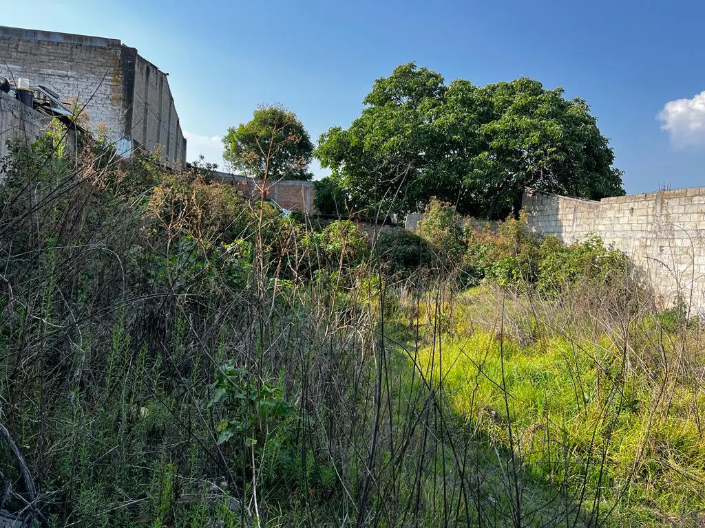 Terreno Spot2