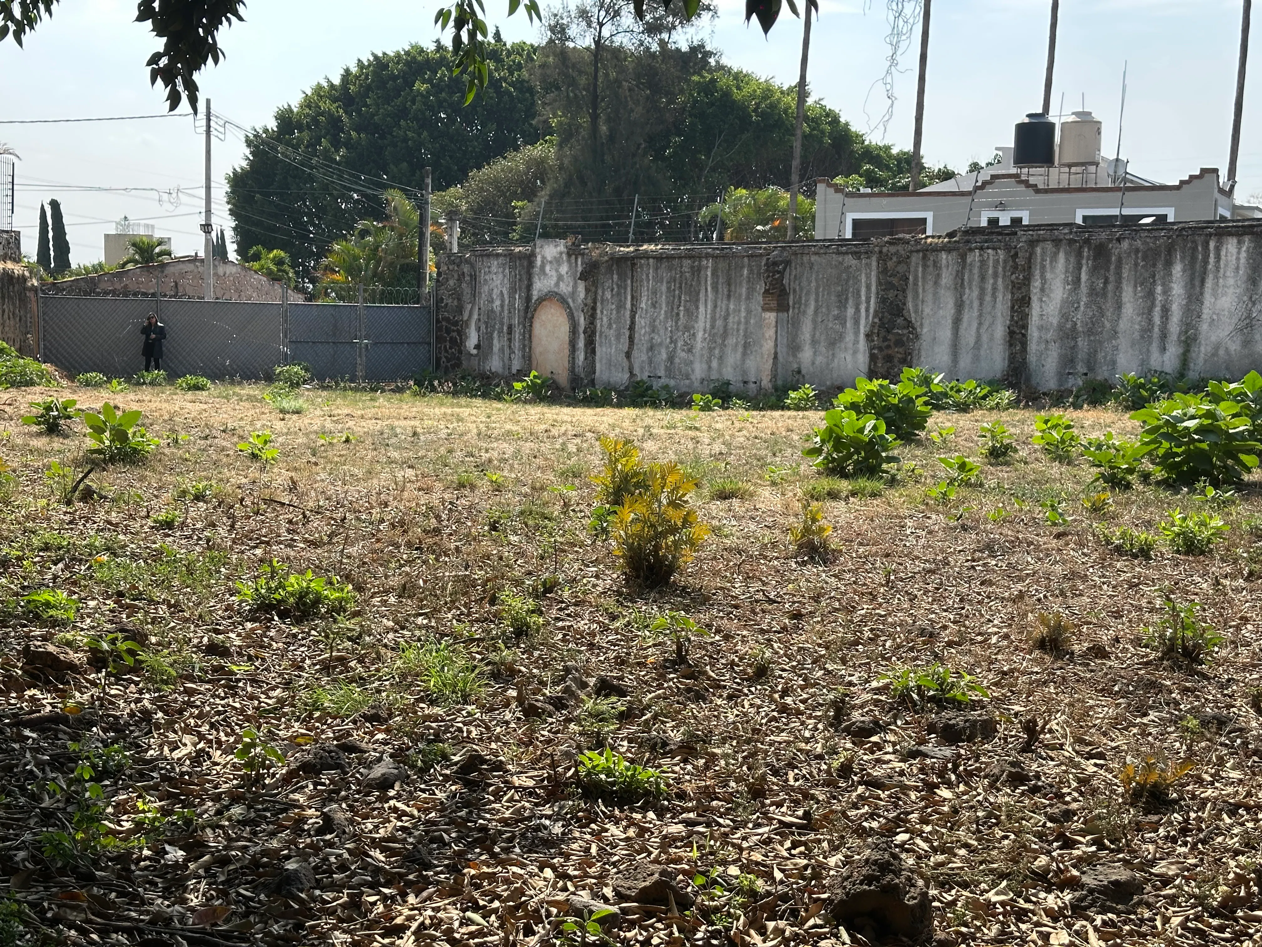 Terreno Spot2
