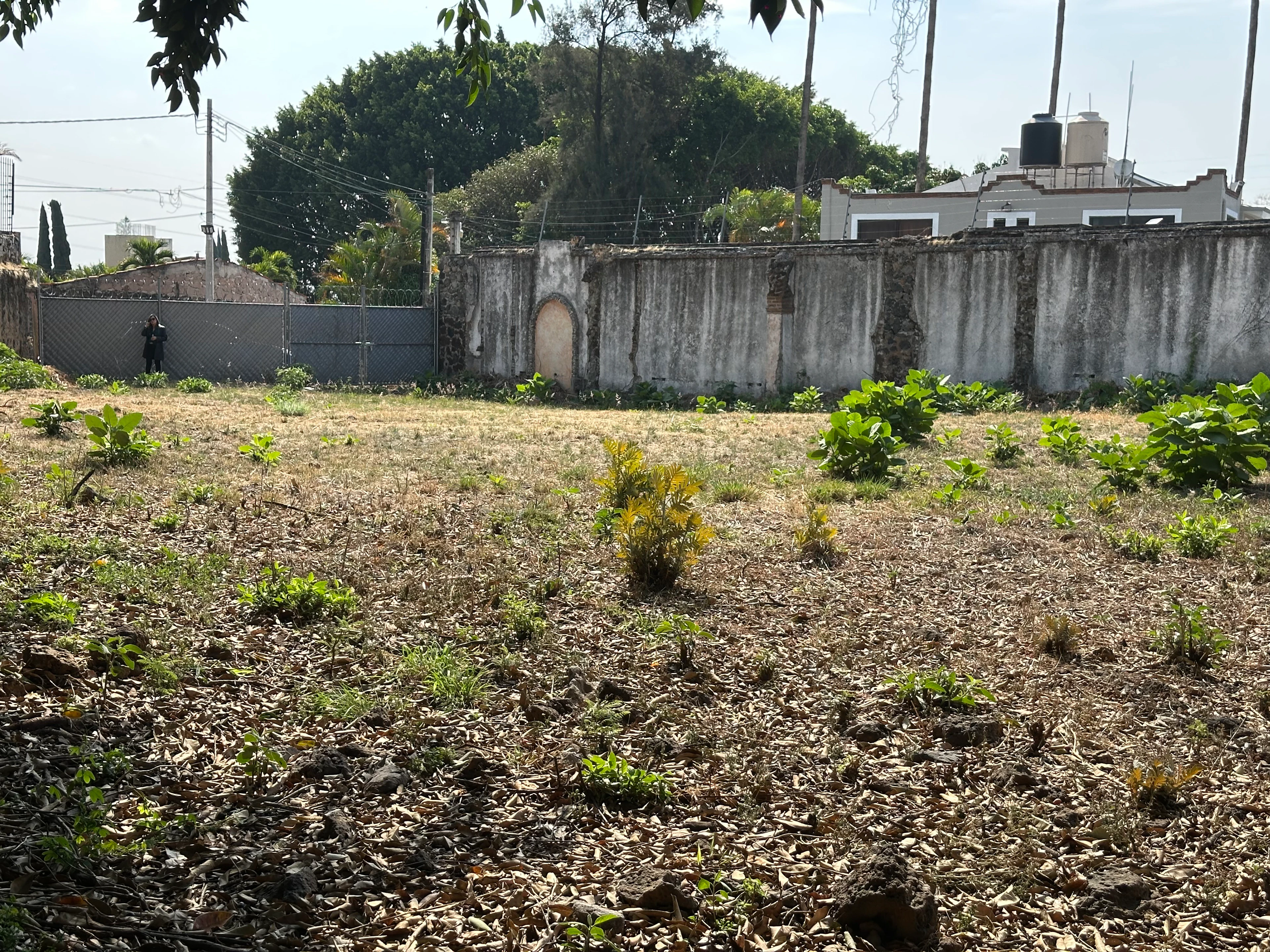 Terreno Spot2