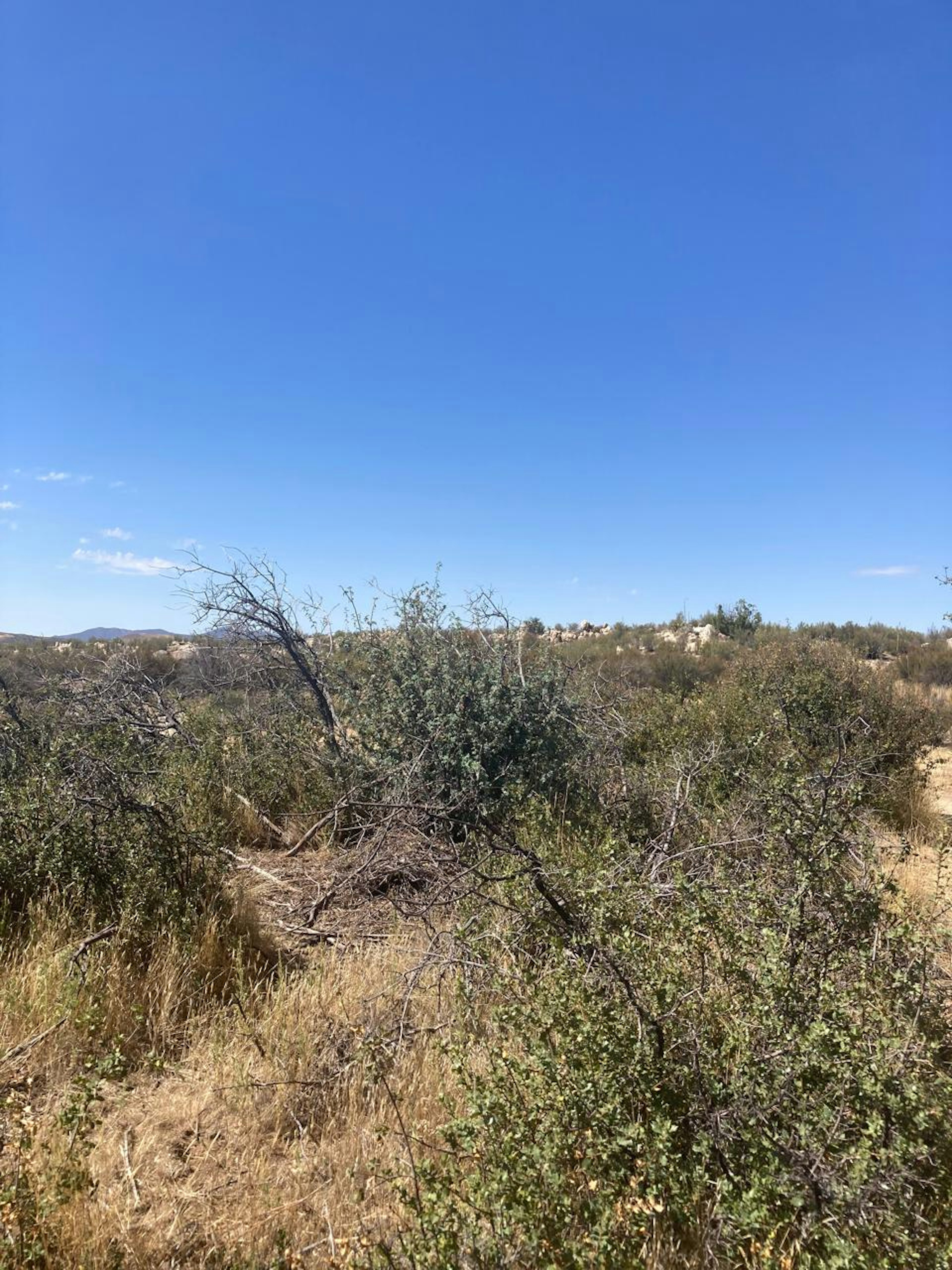 Spot image 0