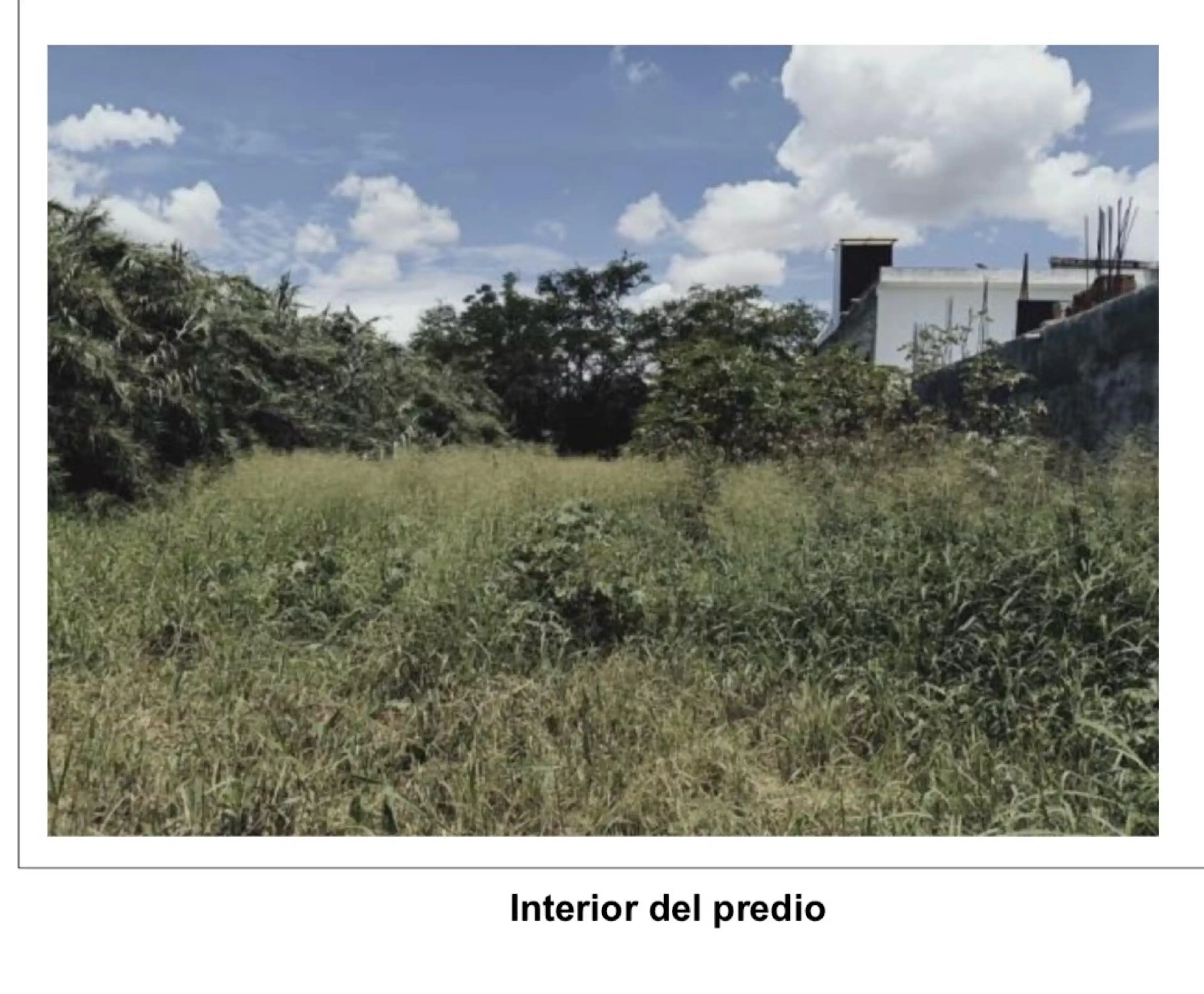 Terreno - Mi Ranchito