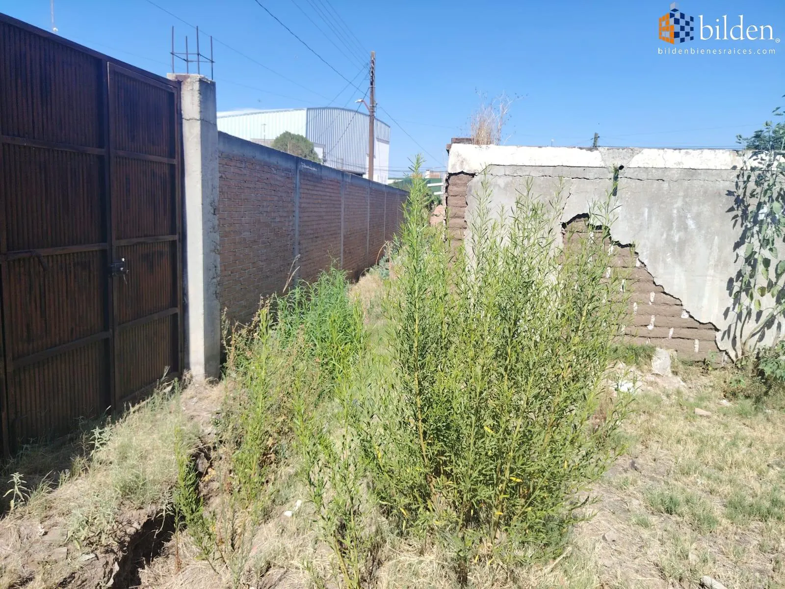 Terreno Spot2
