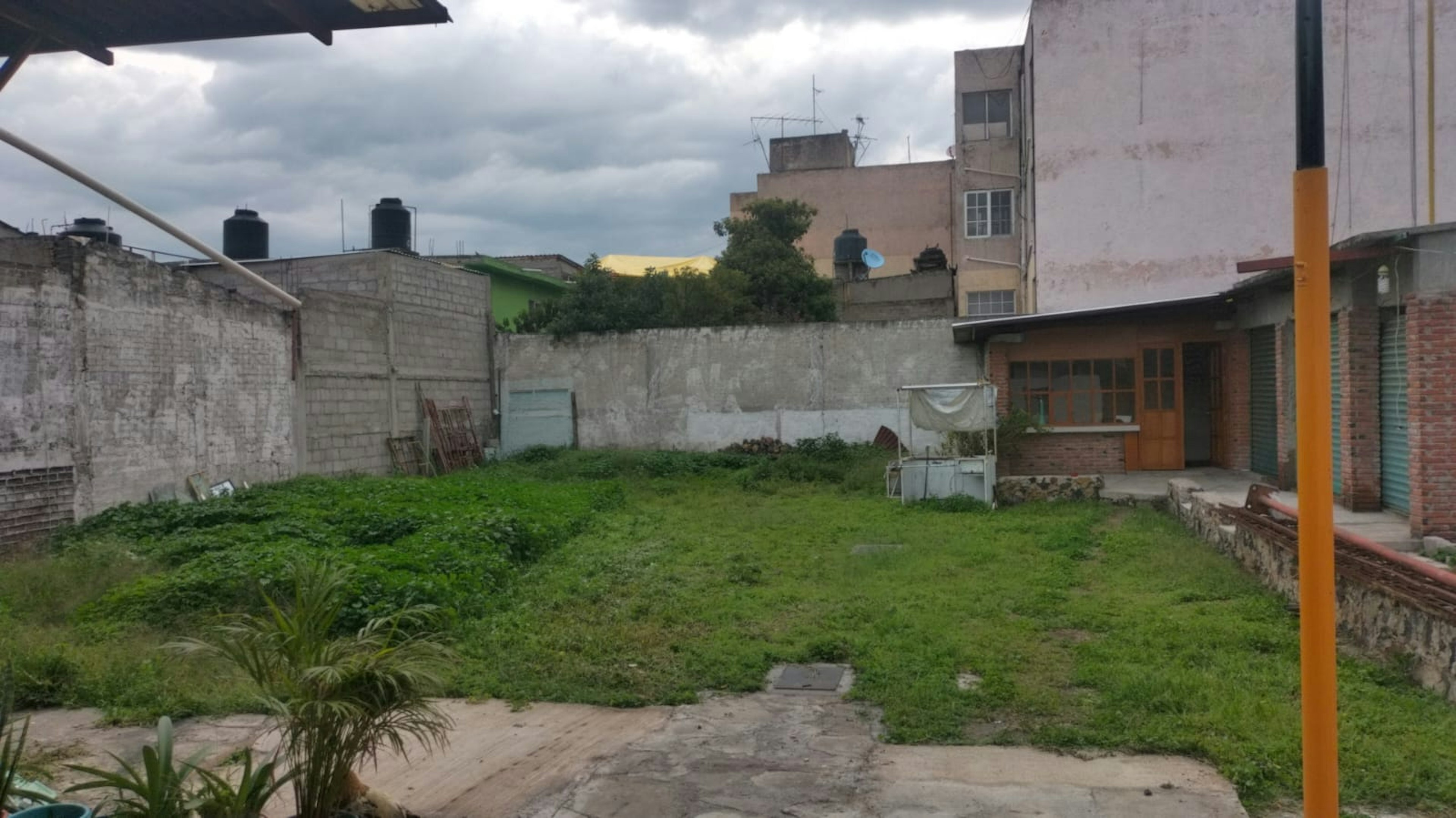 Imagen muestra un terreno amplio con vegetación y una construcción al fondo. Ideal para desarrollo inmobiliario o renovación.