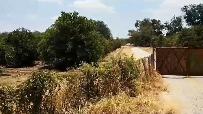 Terreno Spot2