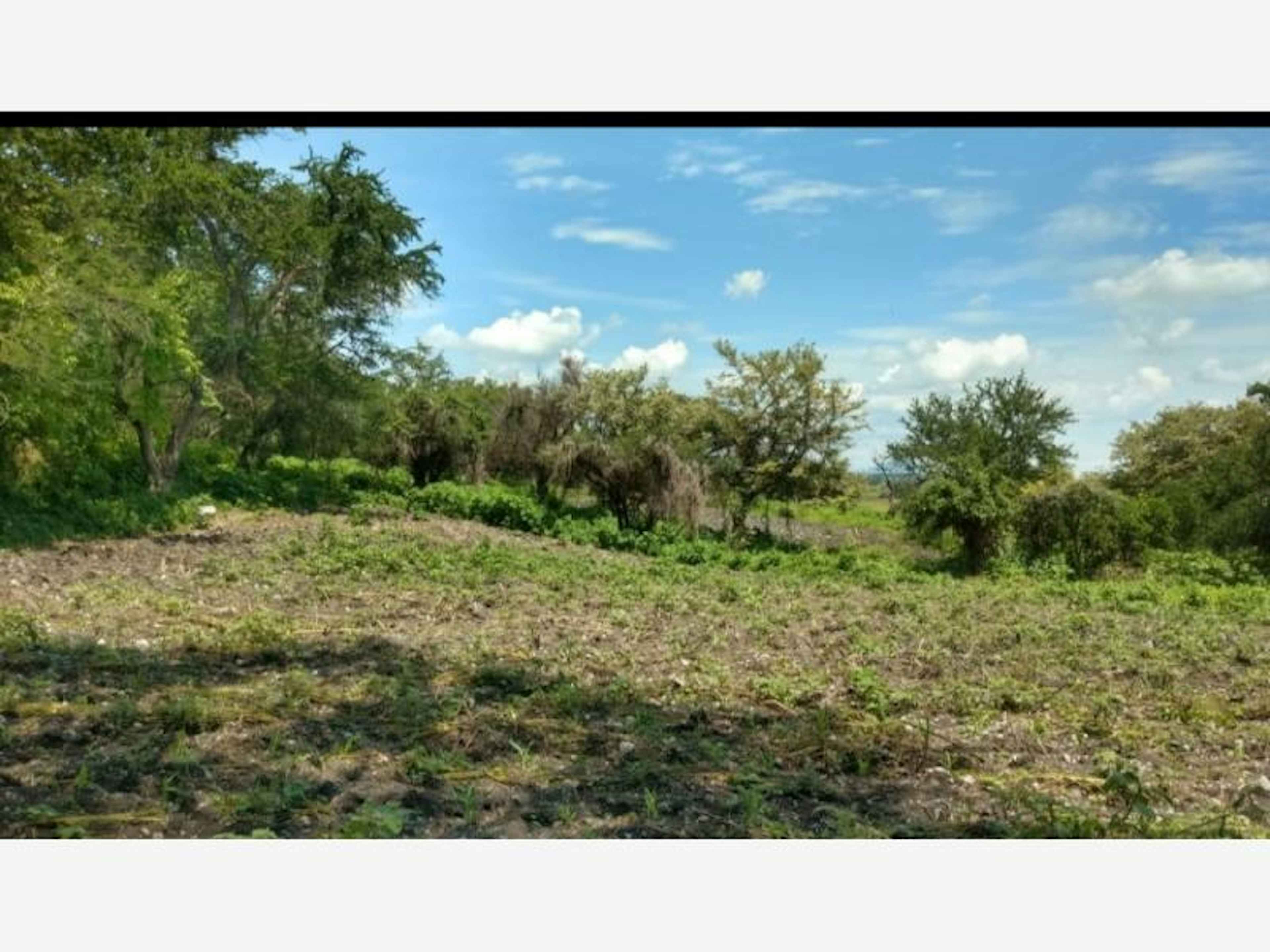Terreno En Venta En Alpuyeca, Xochitepec, Morelos