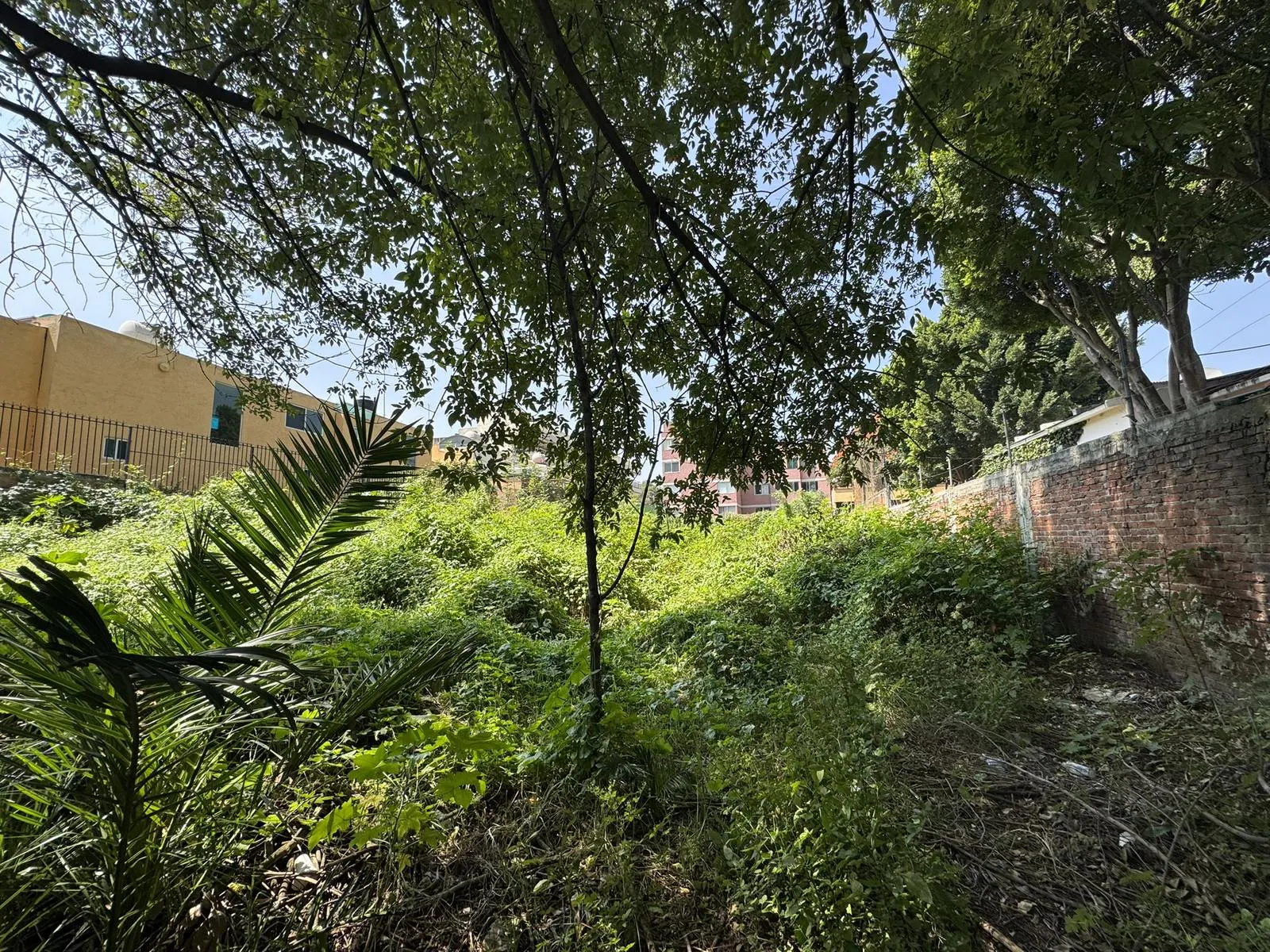 Terreno Spot2