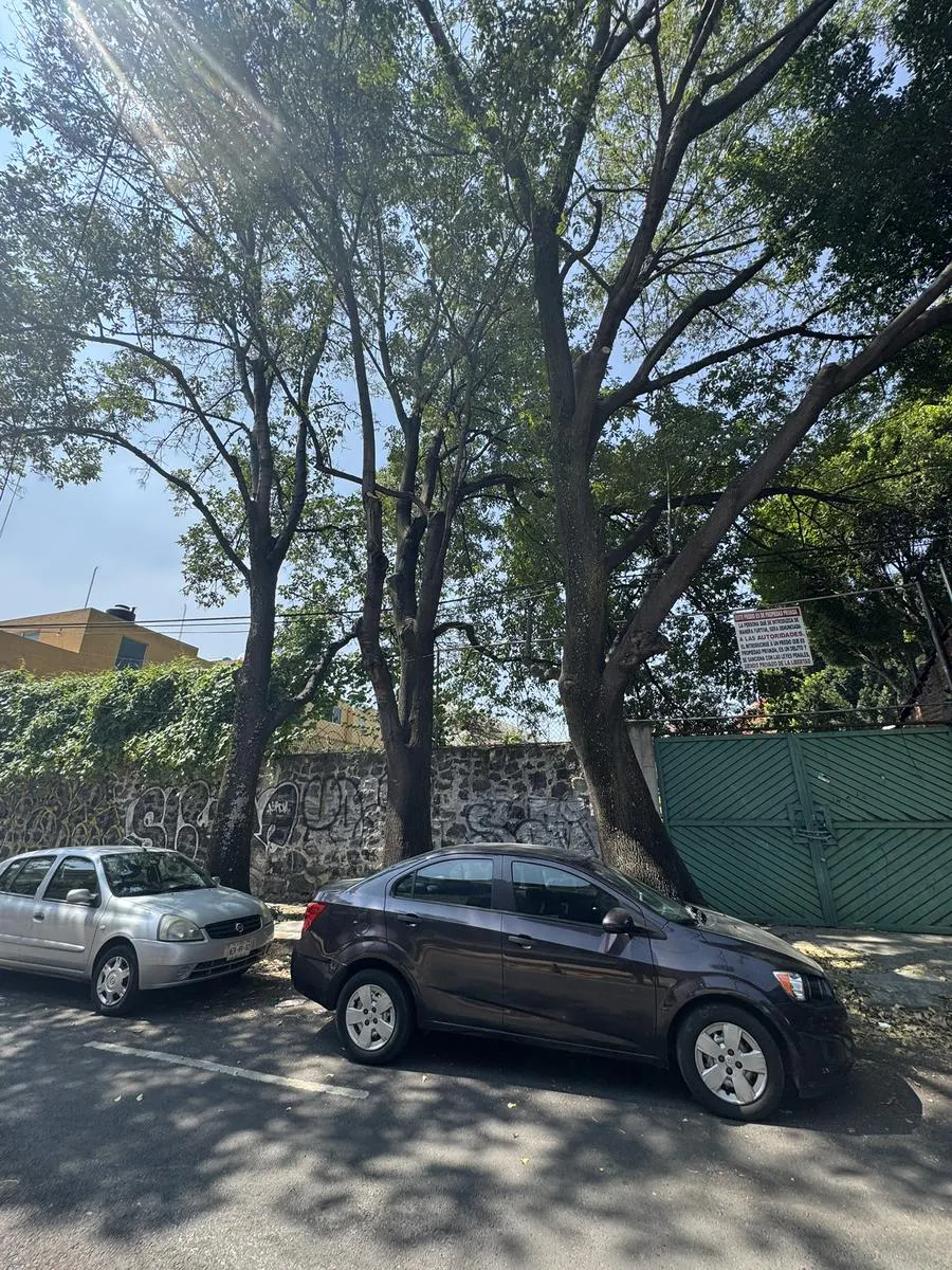 Terreno Spot2