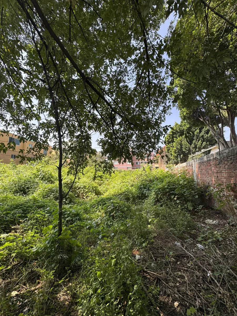 Terreno Spot2