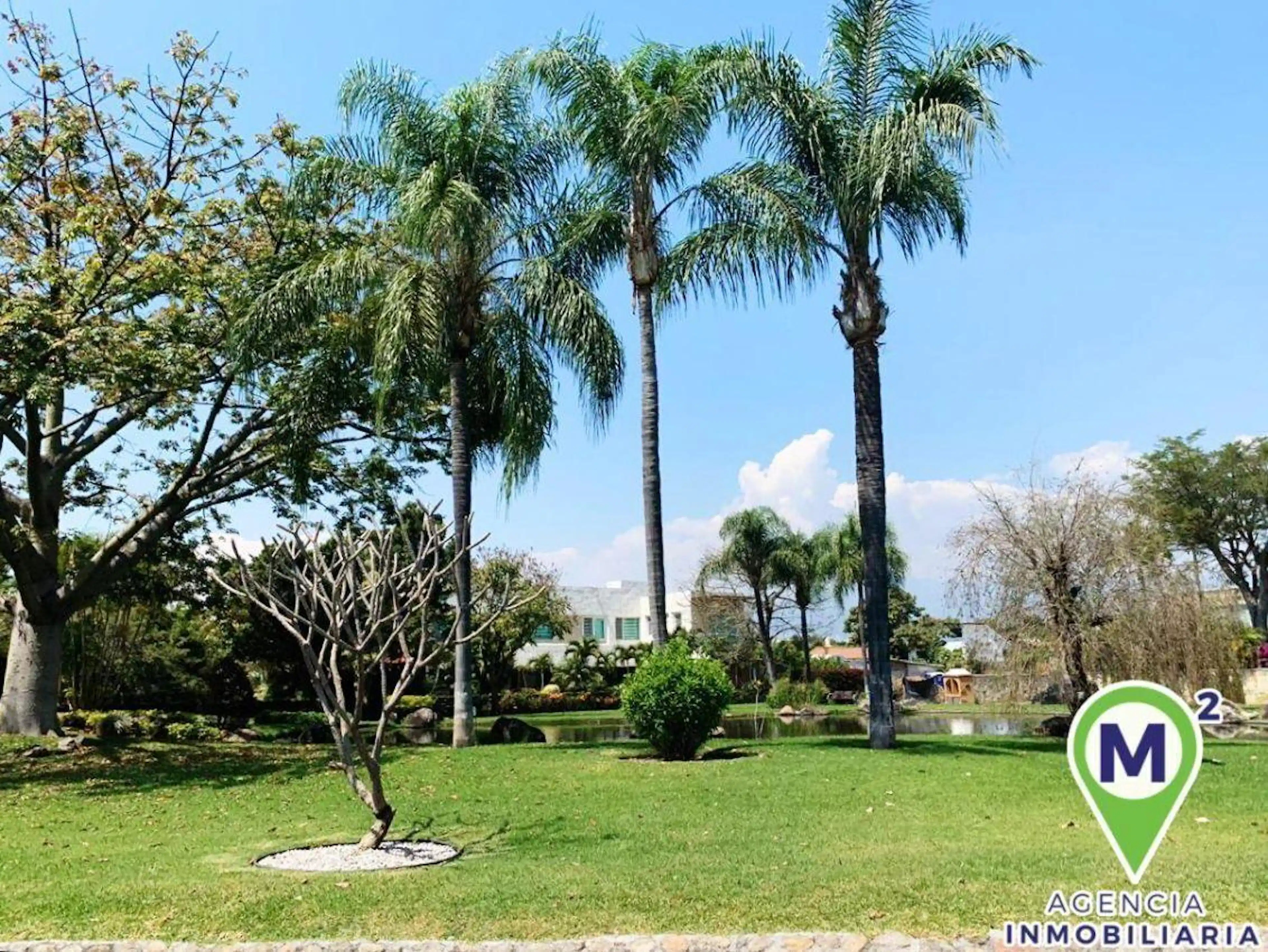 terreno en venta Jiutepec