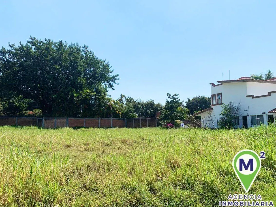 Terreno Spot2