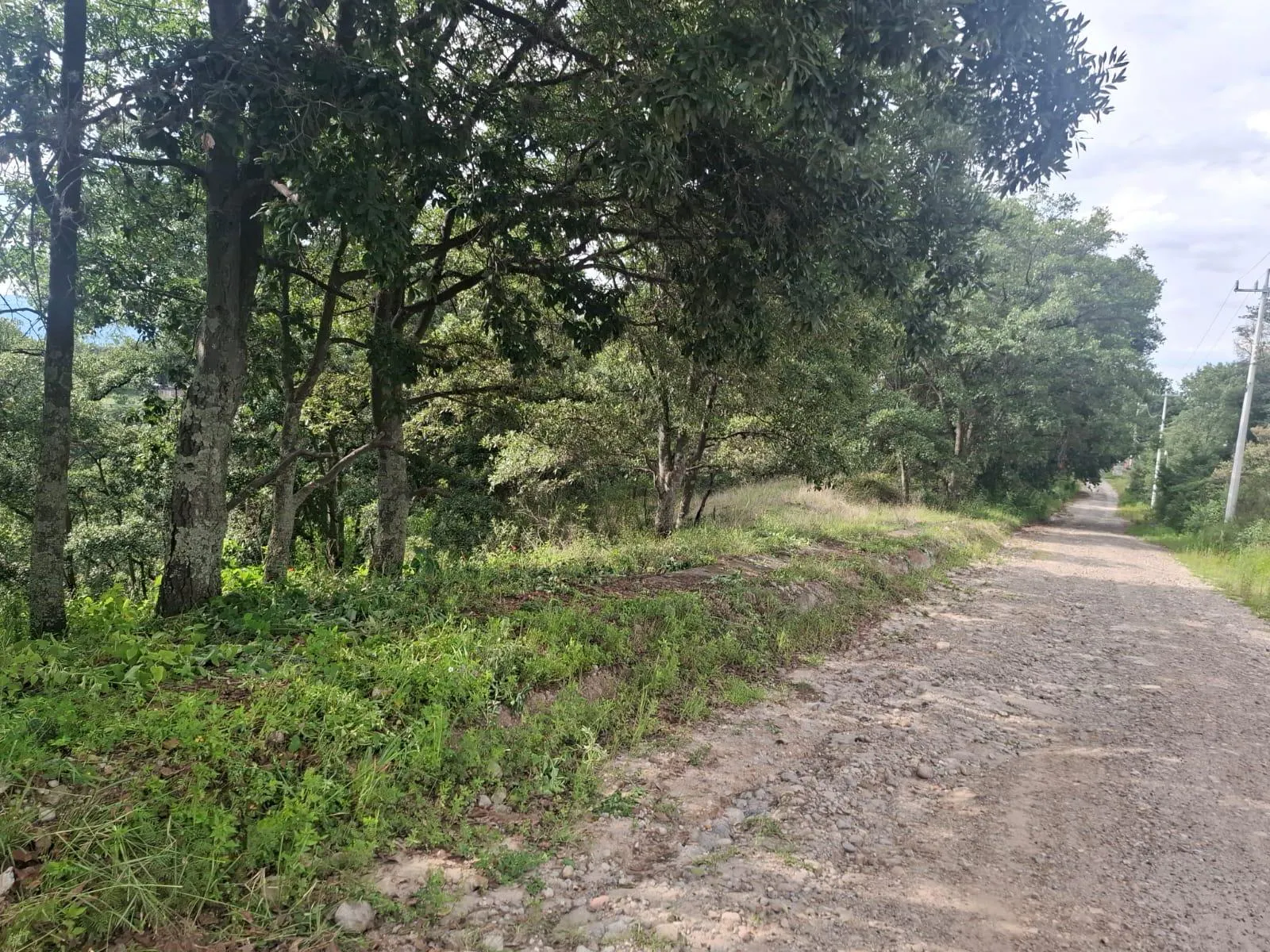 Terreno Spot2
