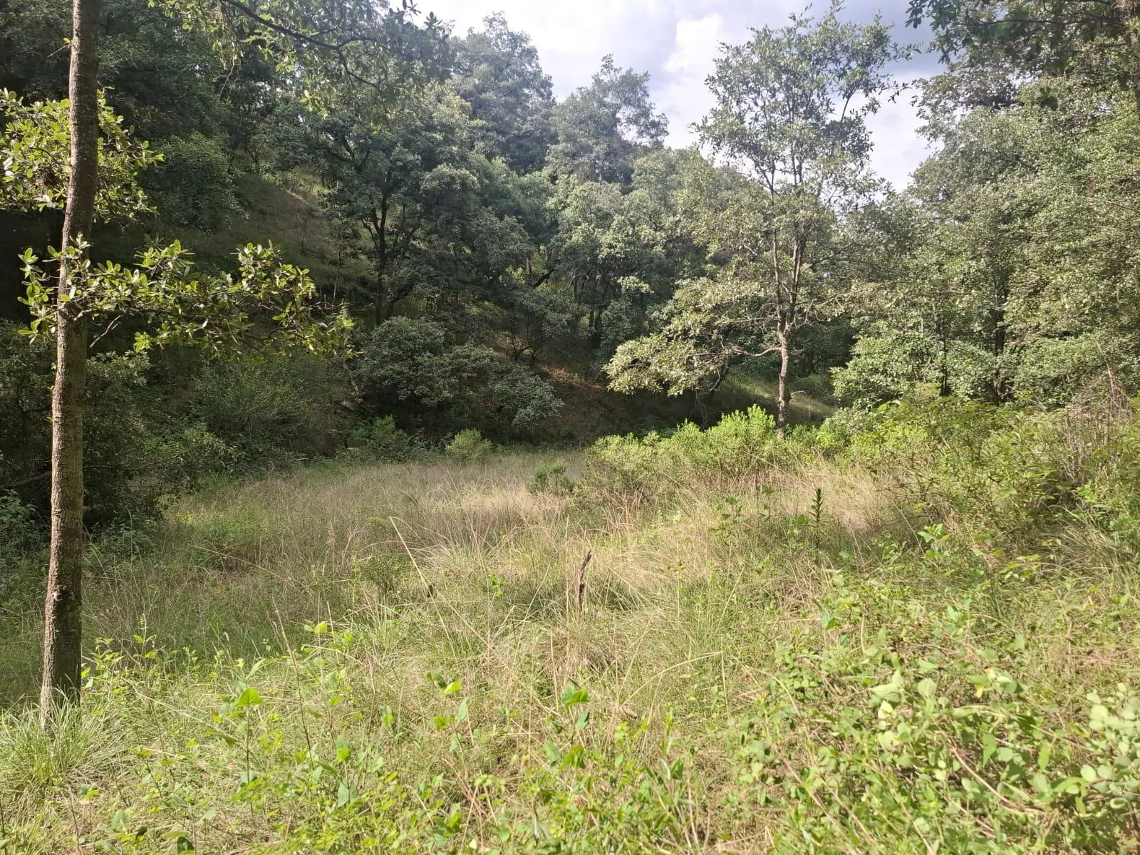 Terreno Spot2