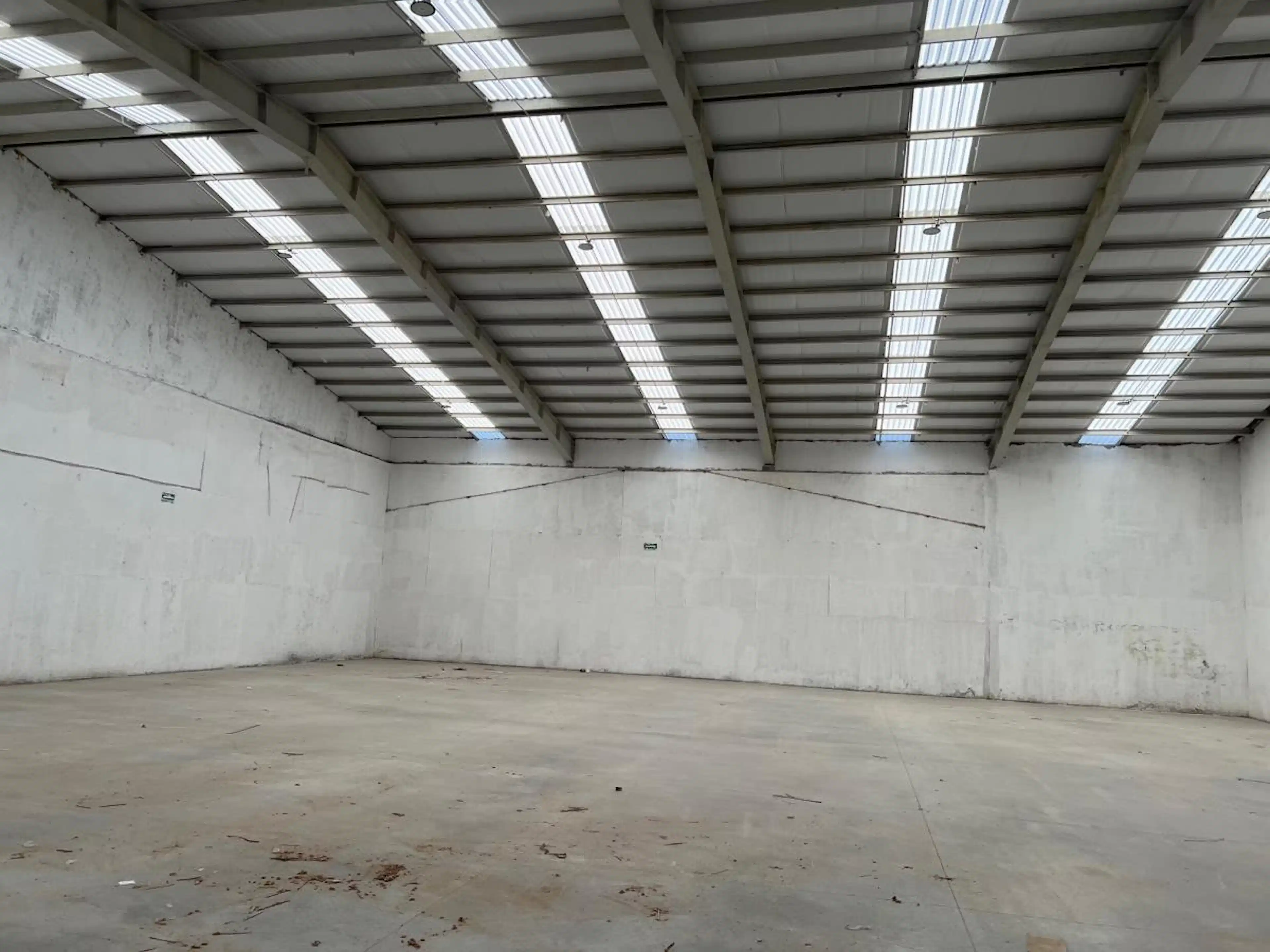 Manuel San Feliz 240