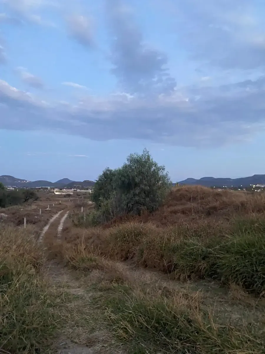 Terreno Spot2