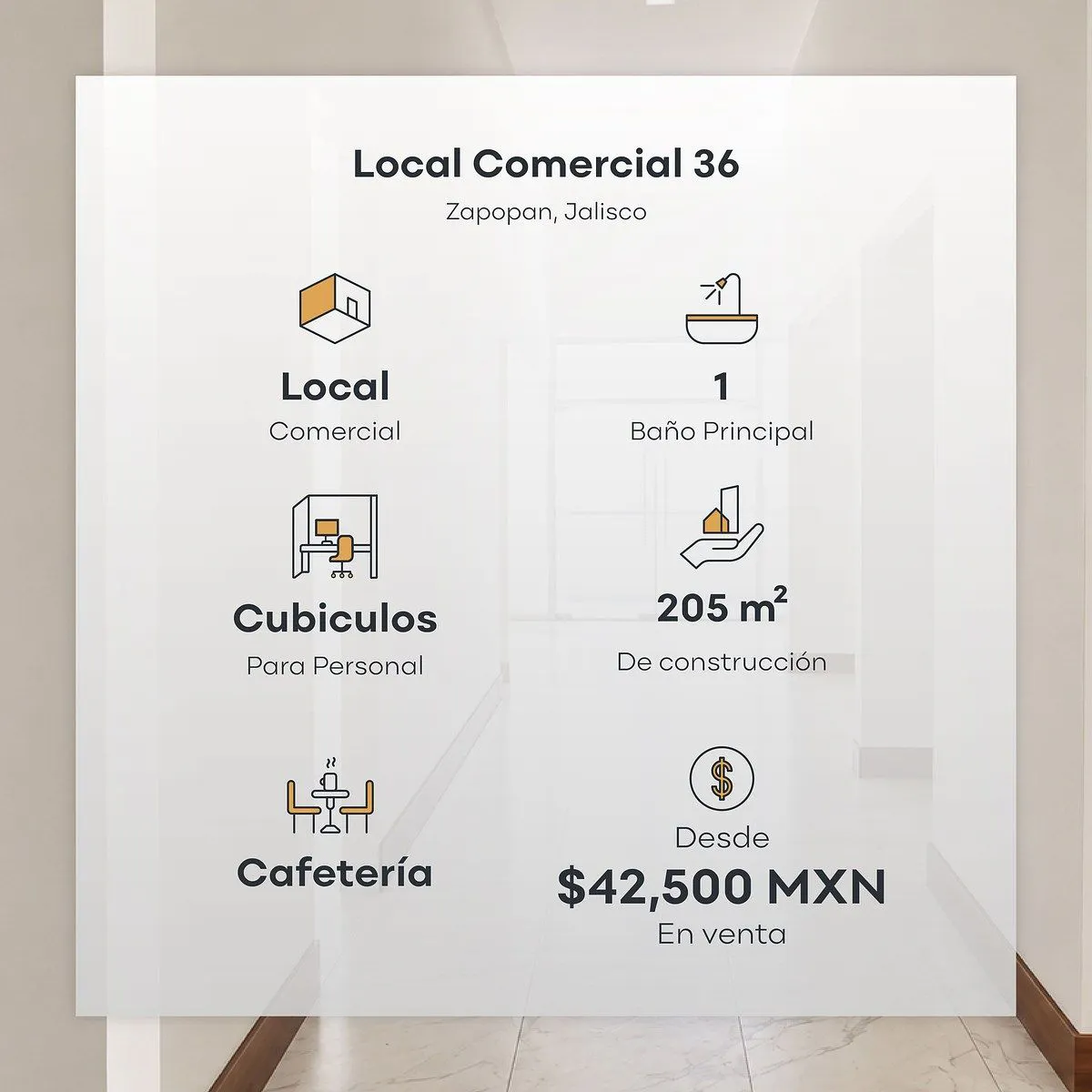 Local Comercial Spot2