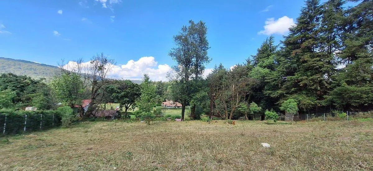 Terreno Spot2