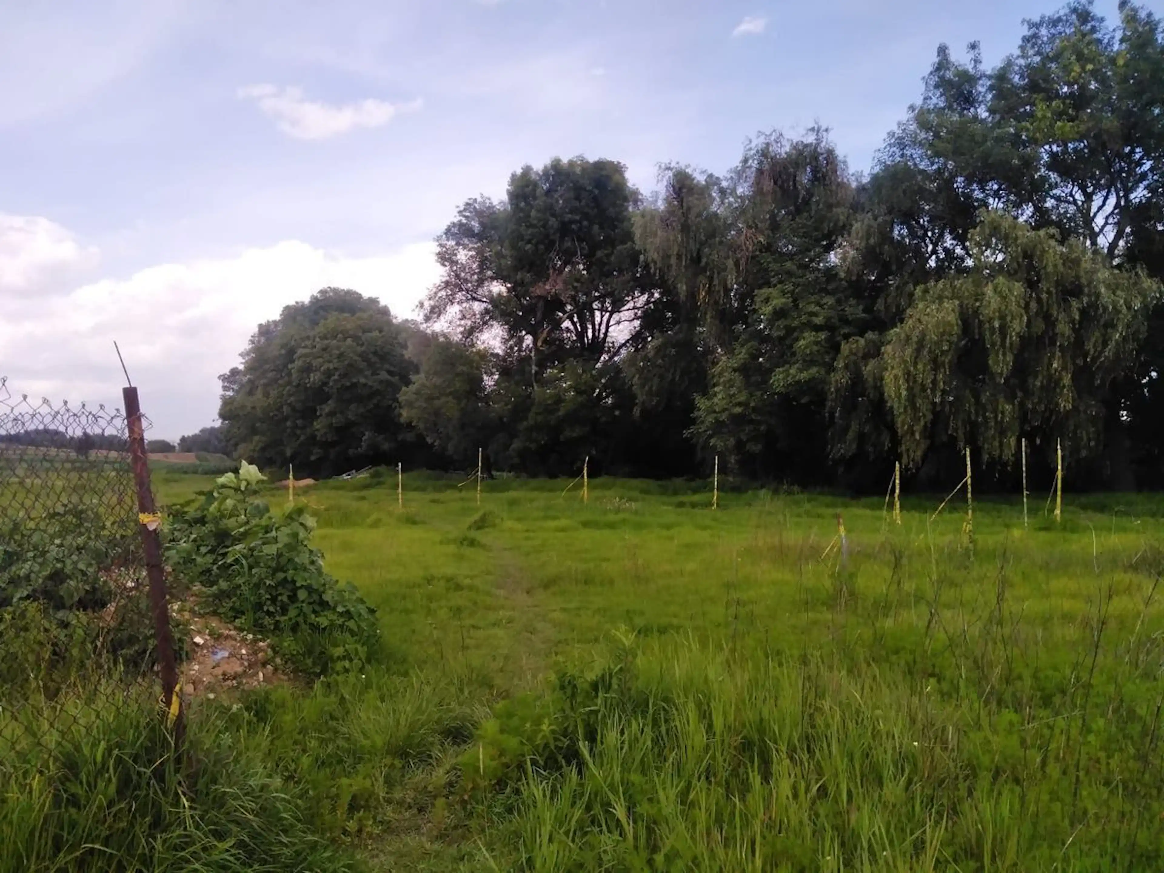 Terreno San Lorenzo Almecatla, Nueva Alemania