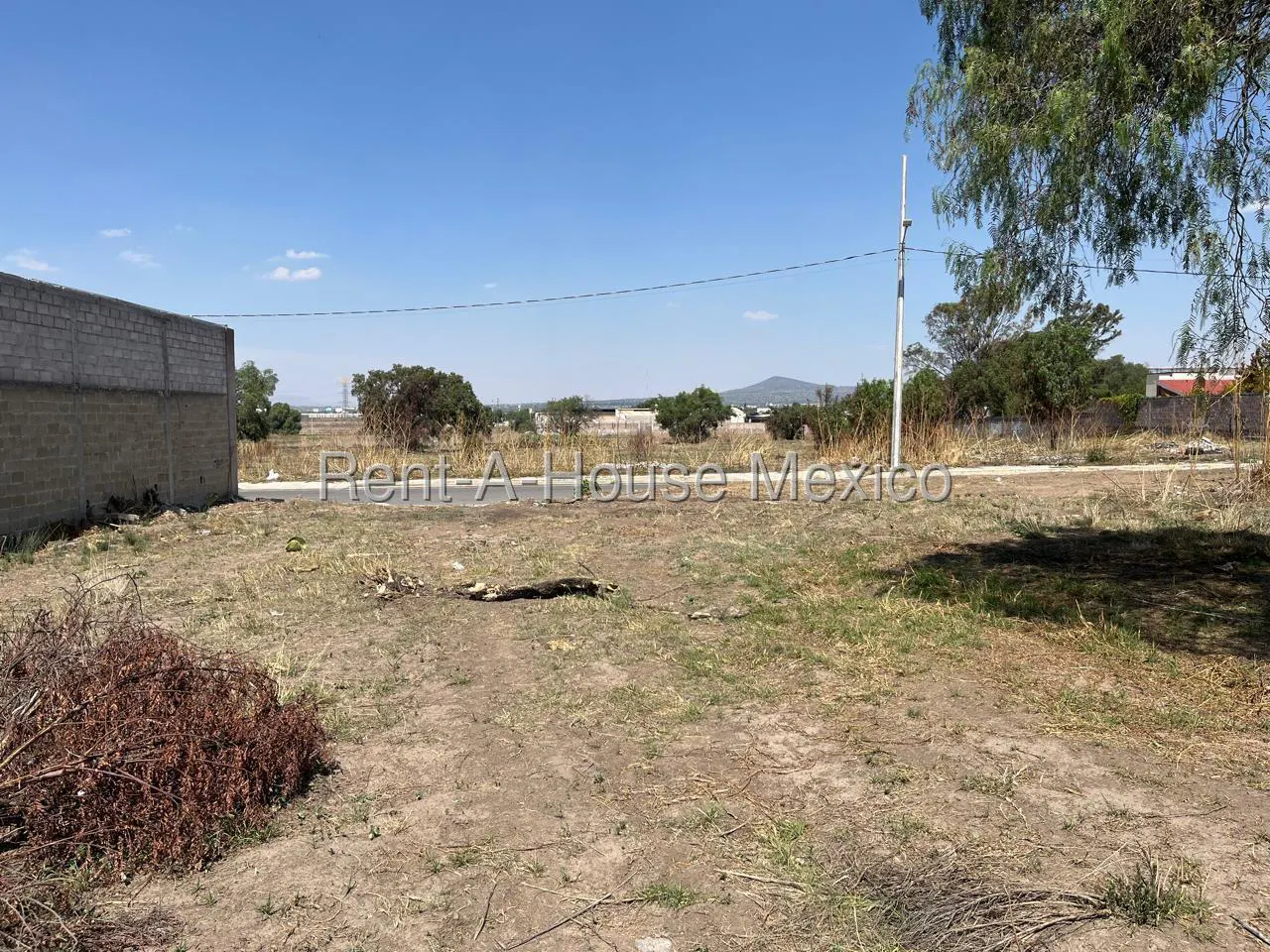 Terreno Spot2