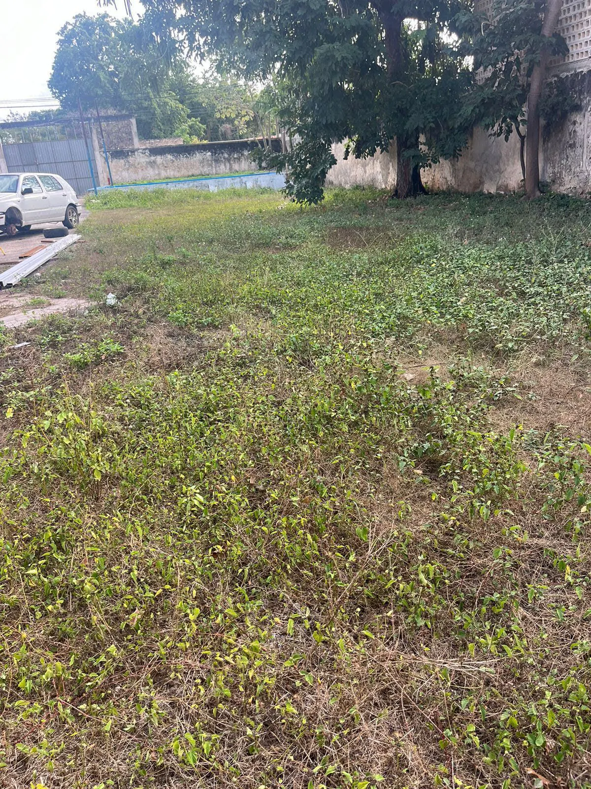 Terreno Spot2