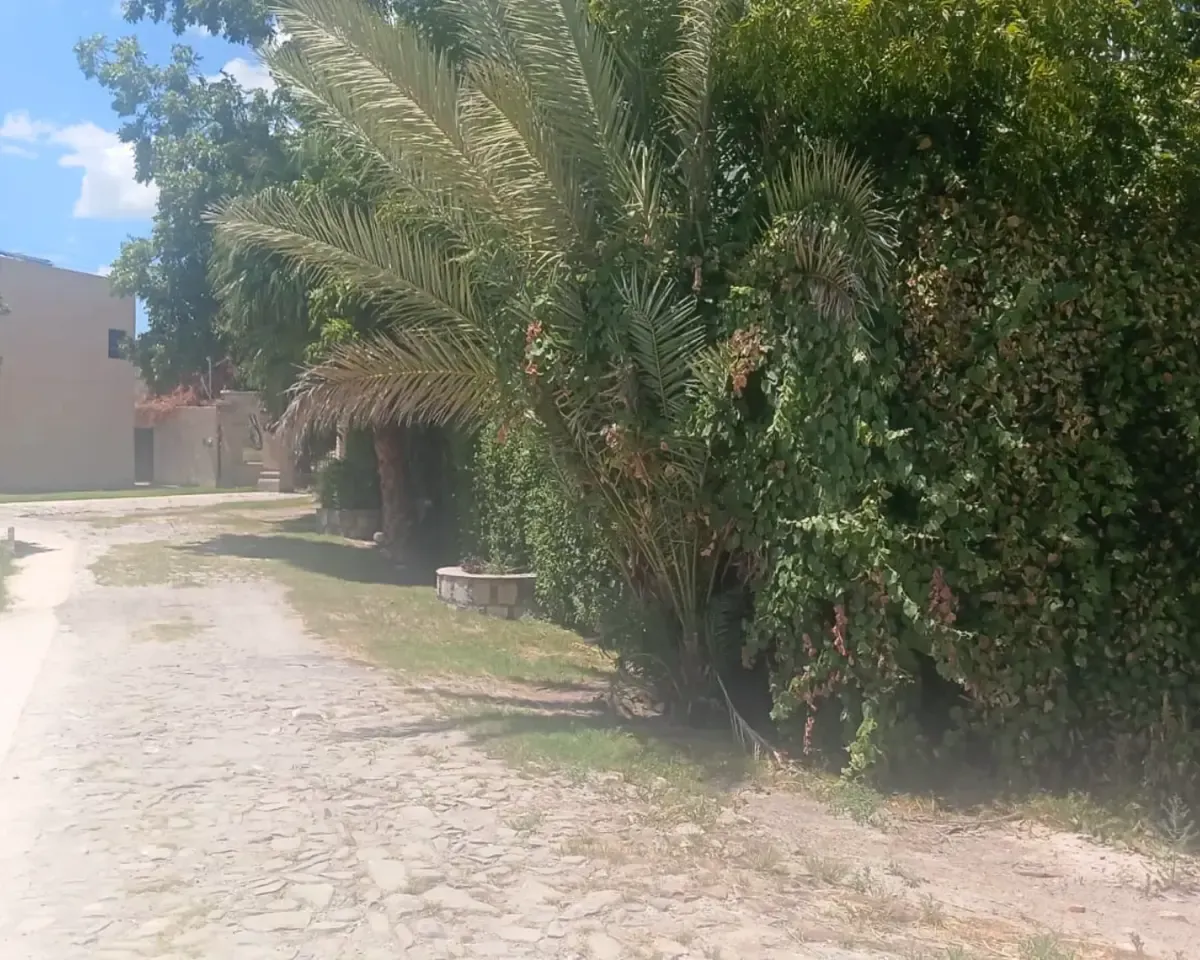 Terreno Spot2