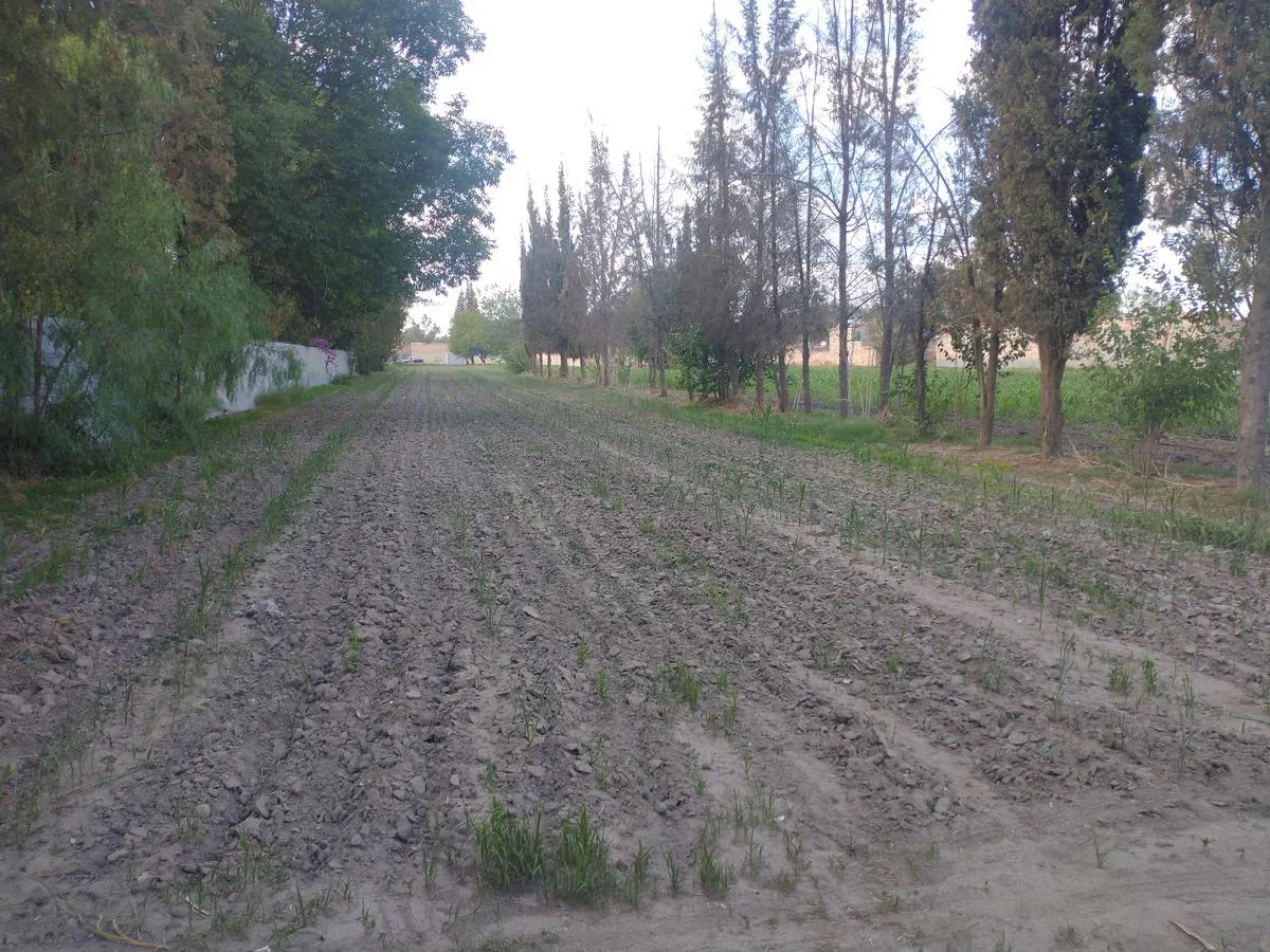 Terreno Spot2