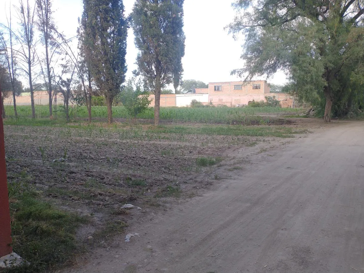 Terreno Spot2