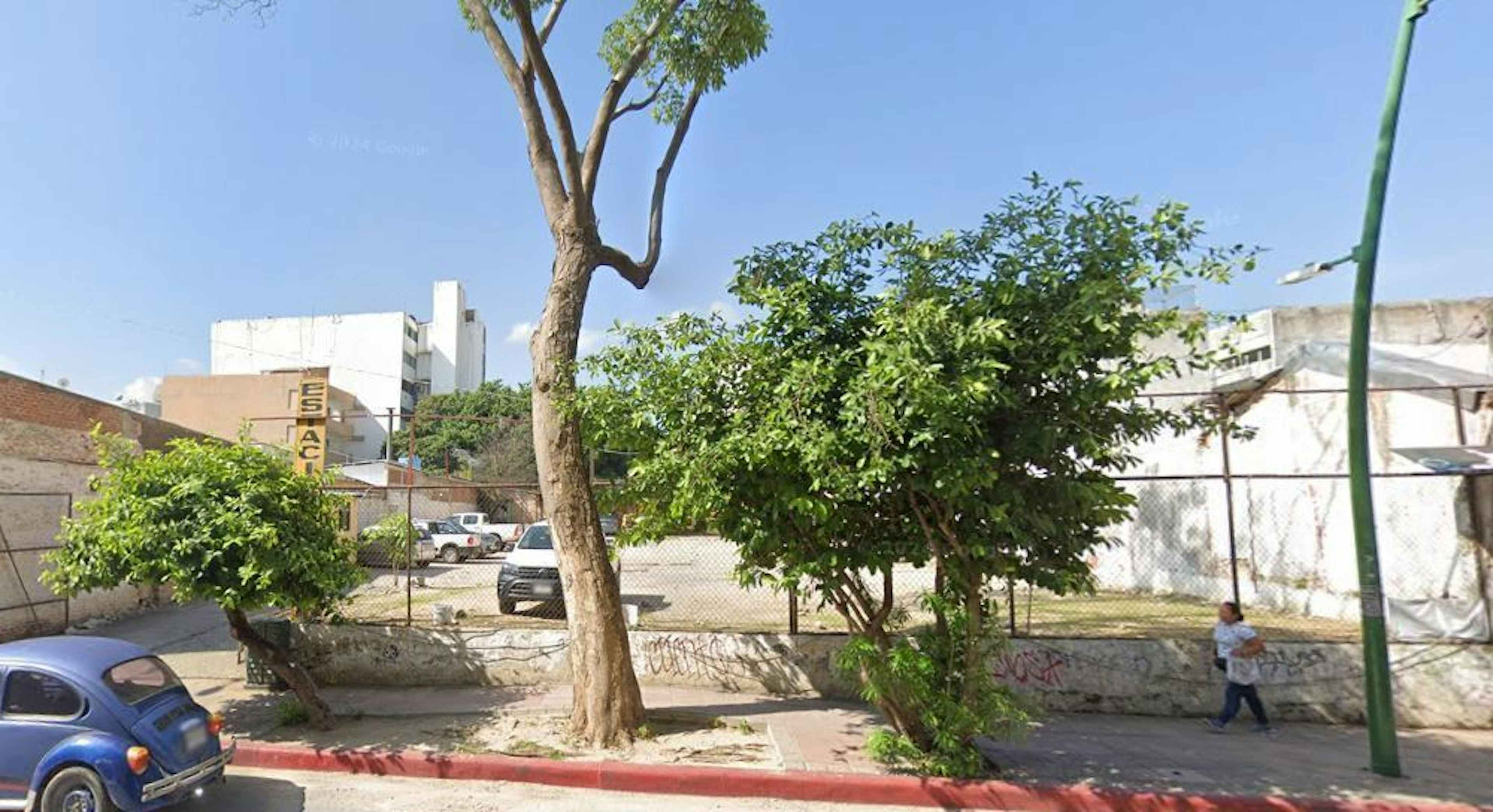 Avenida Central Poniente 29080