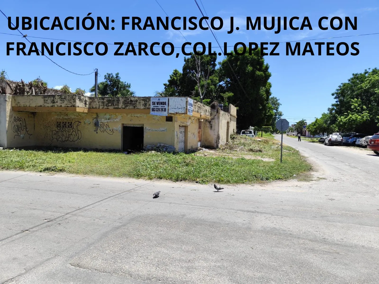 Local Comercial Spot2