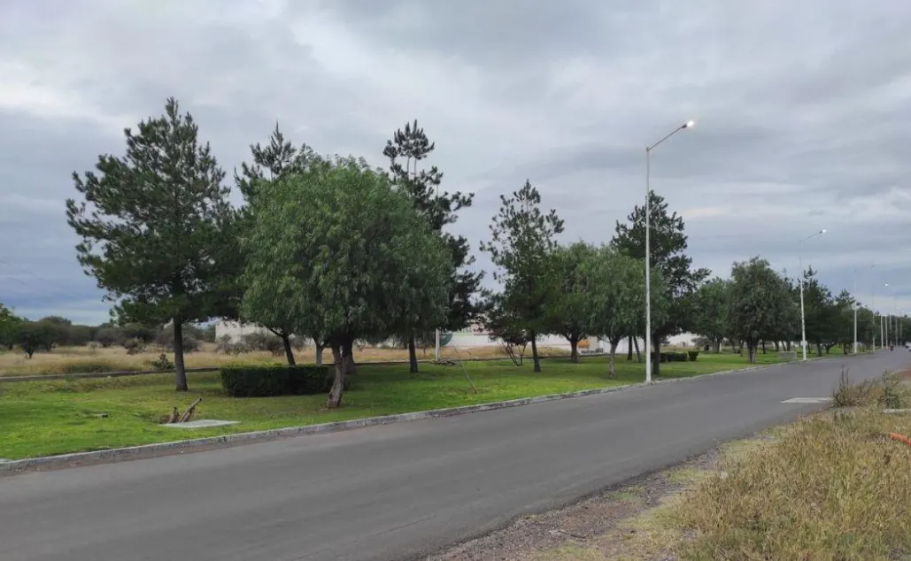 Terreno Spot2